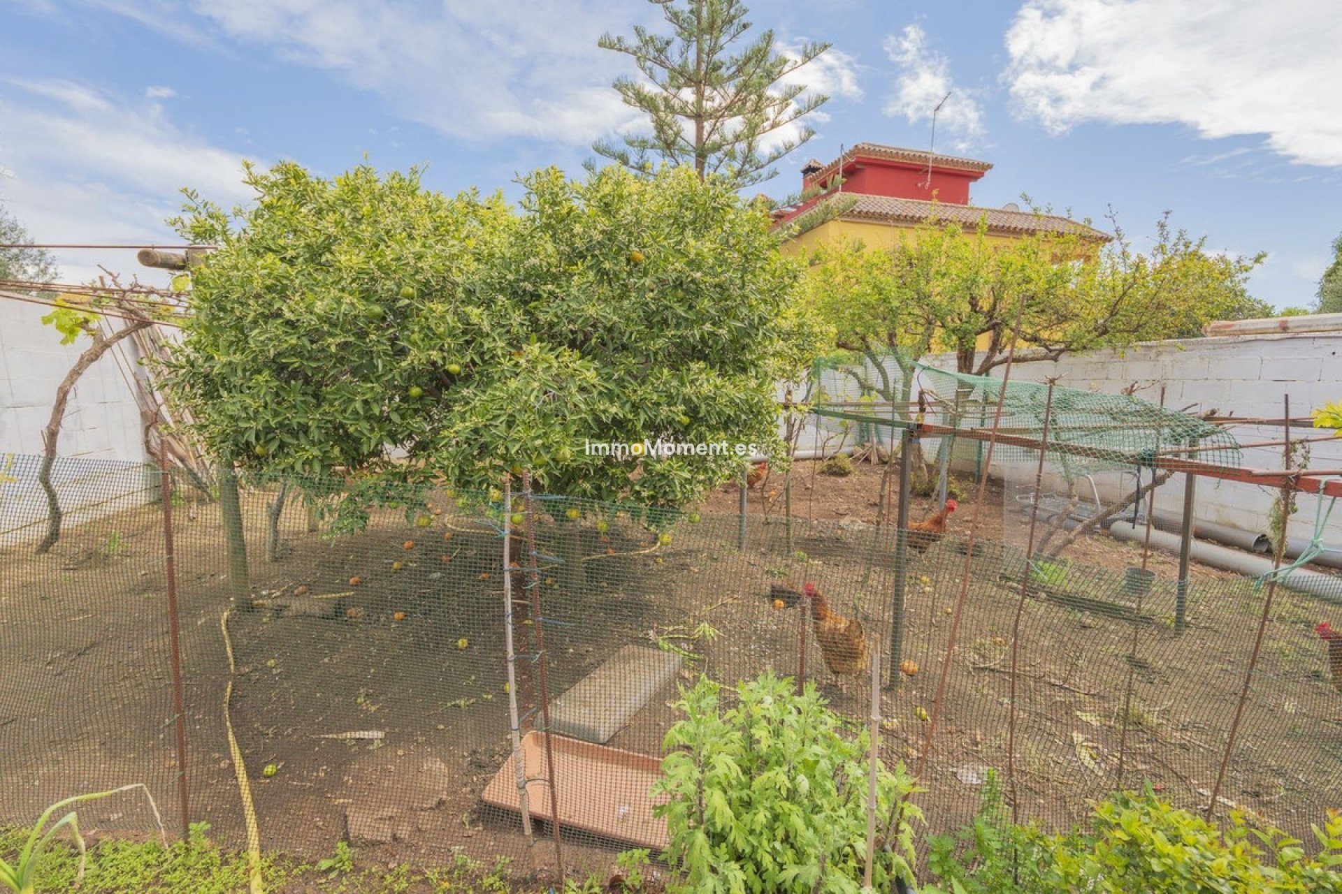 Reventa - Villa independiente - Marbella - Las Chapas