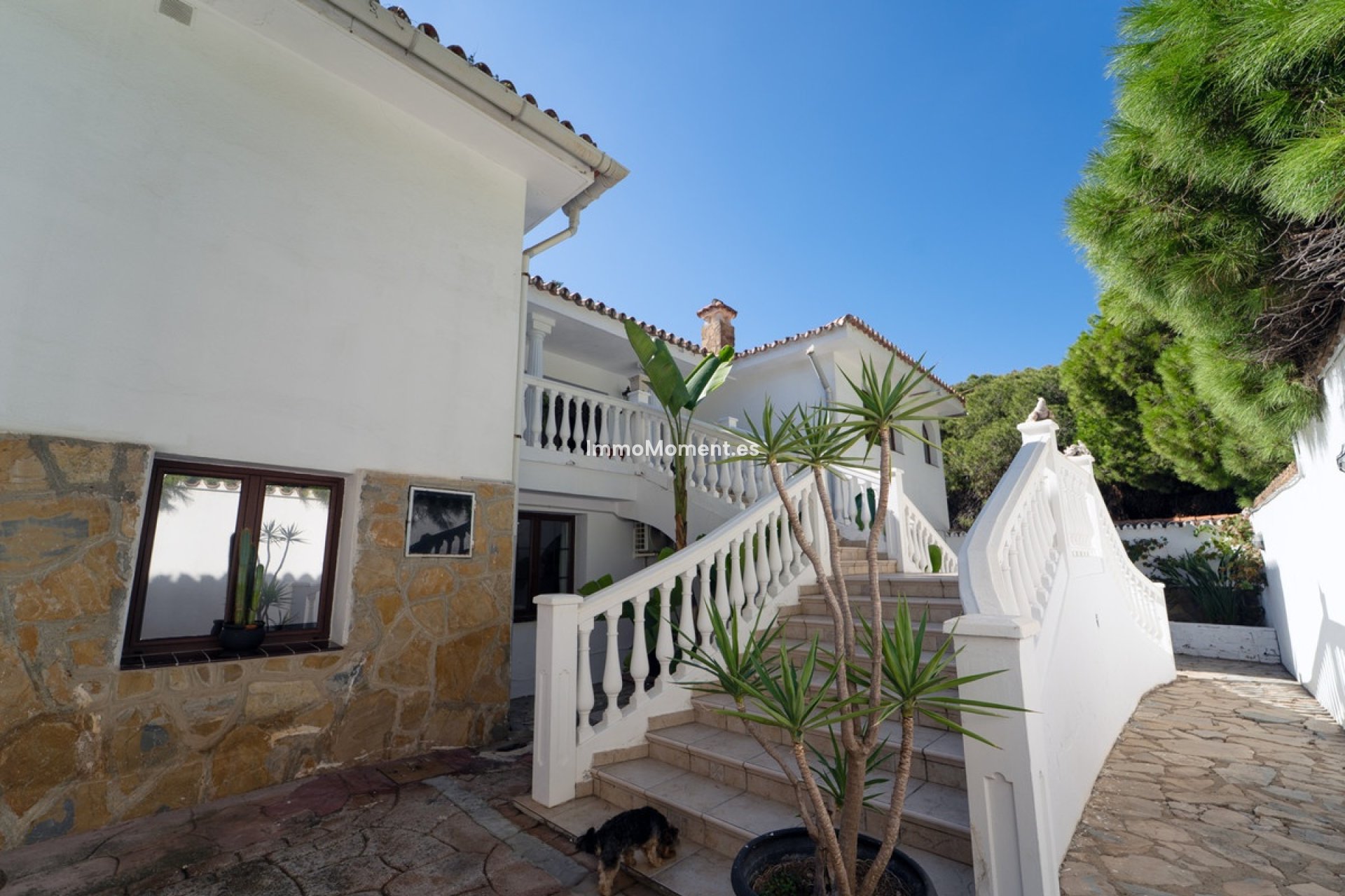 Reventa - Villa independiente - Marbella - Marbesa
