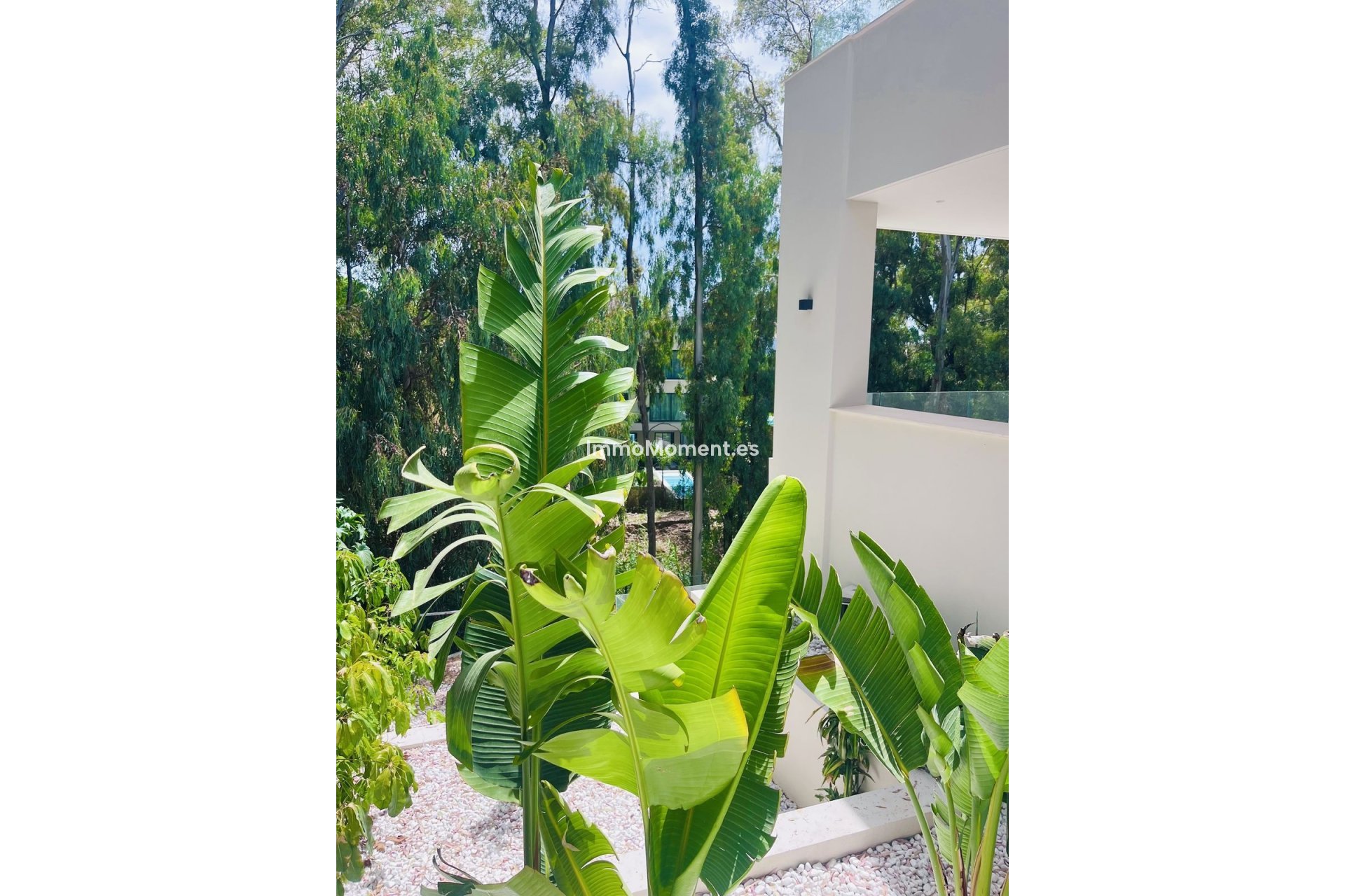 Reventa - Villa independiente - Marbella - Nueva Andalucía