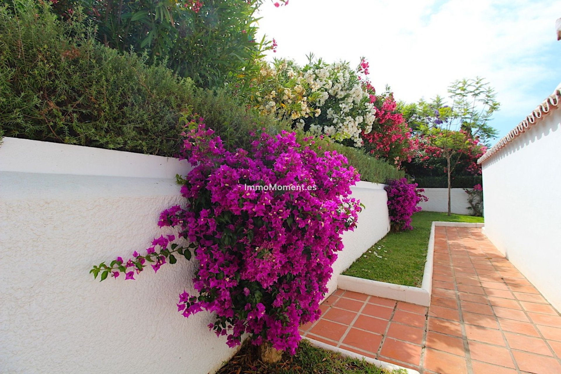 Reventa - Villa independiente - Marbella - Nueva Andalucía