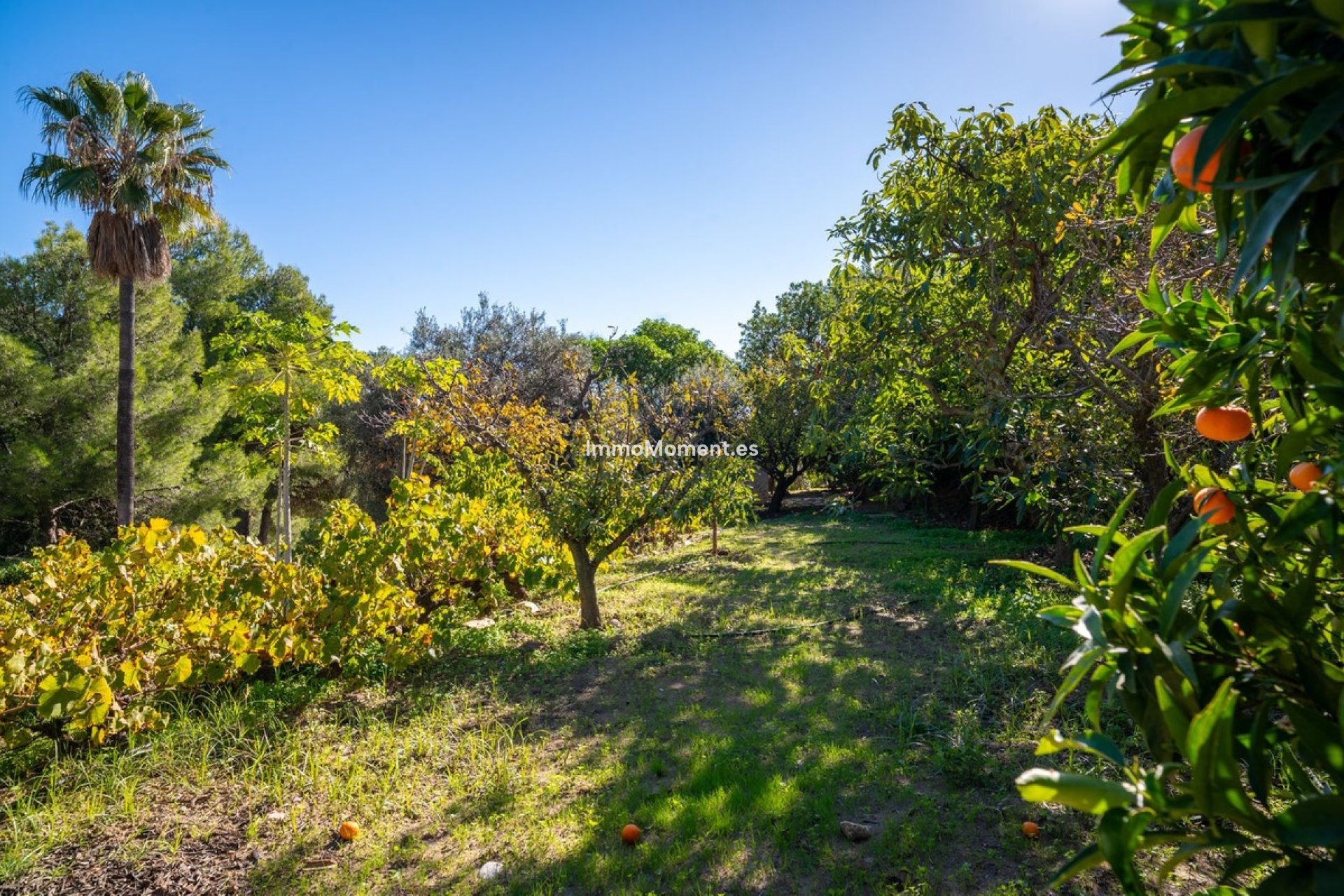 Reventa - Villa independiente - Mijas - Mijas Centro