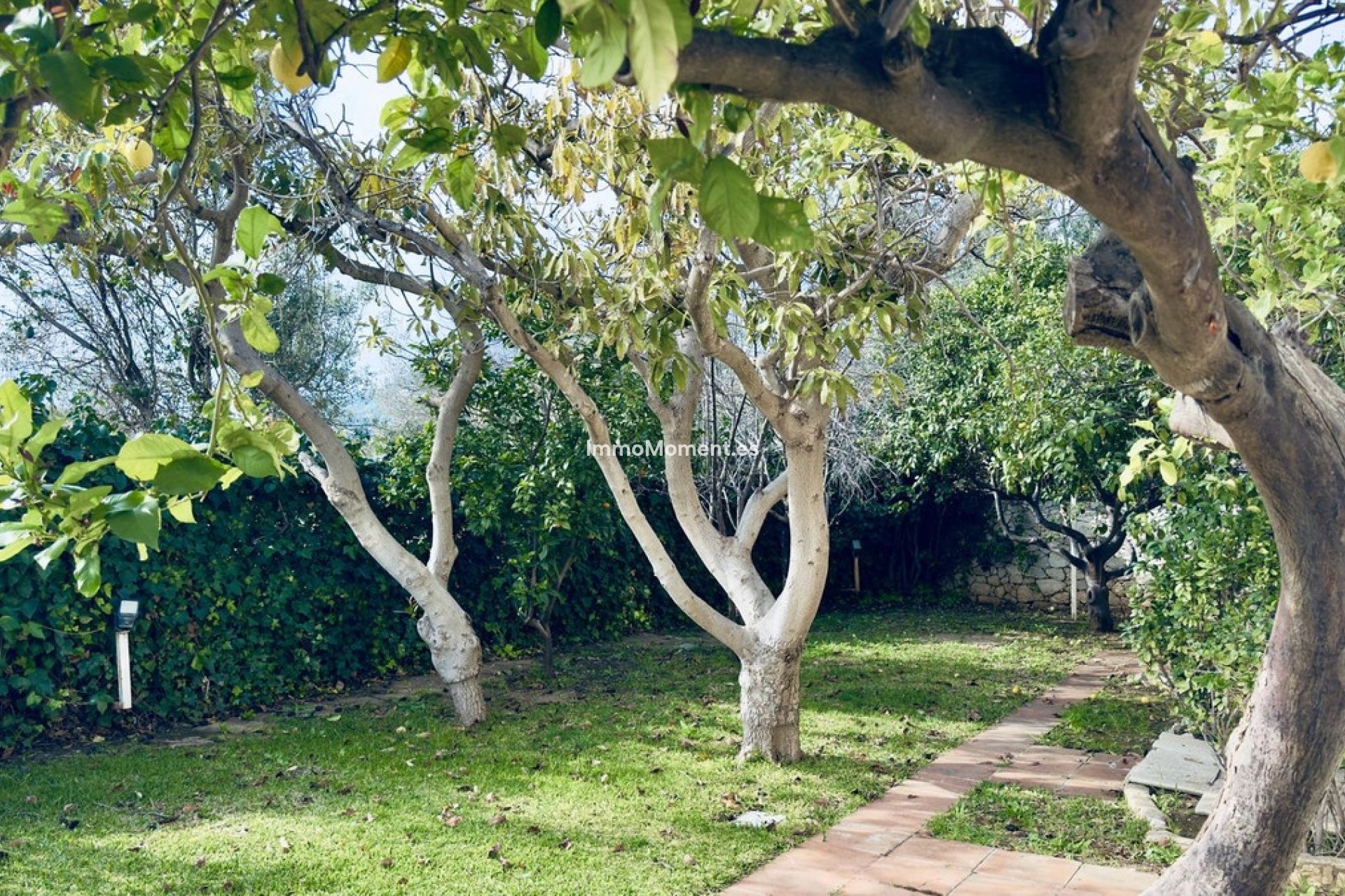Reventa - Villa independiente - Mijas - Mijas Centro