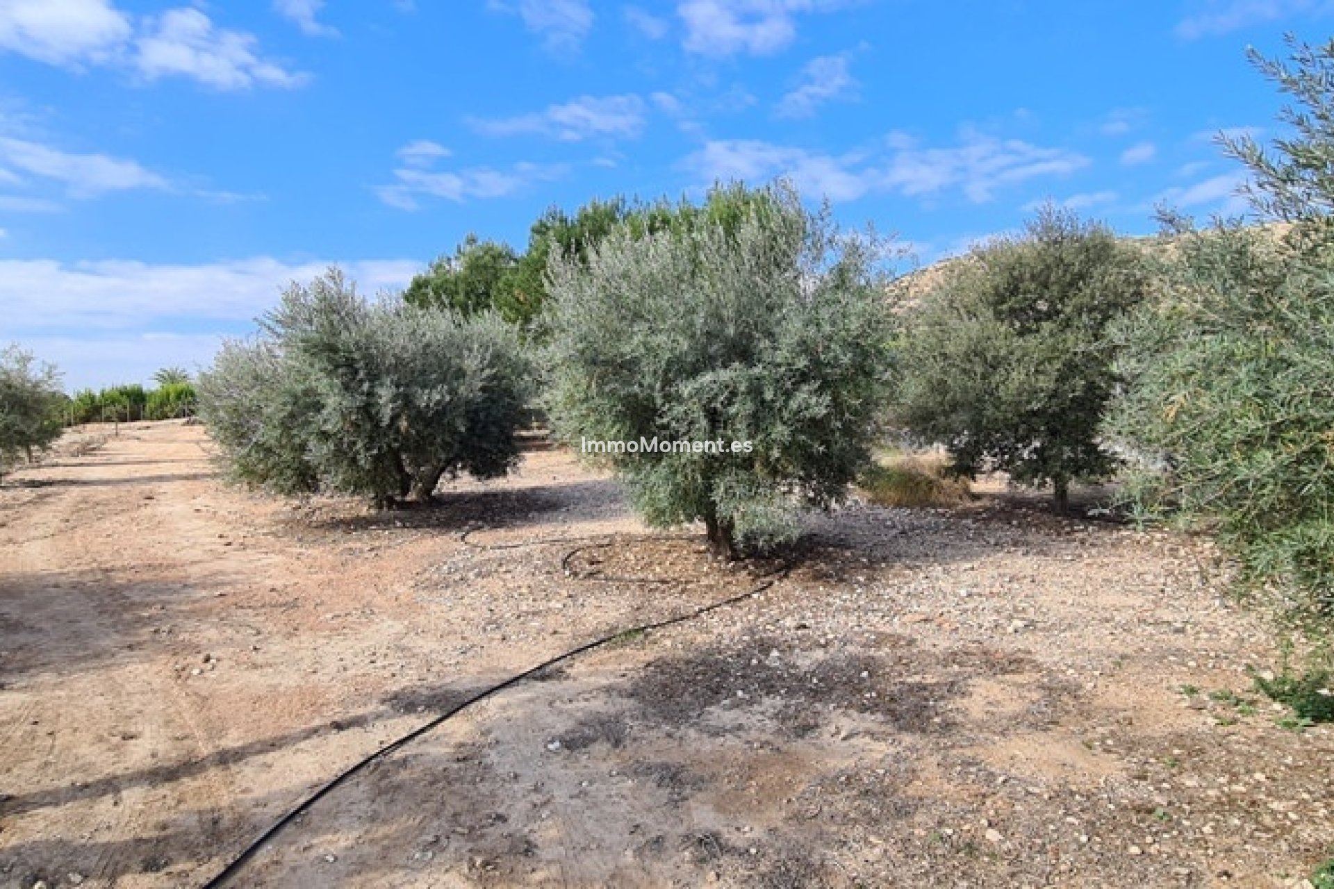 Reventa - Villa independiente - Orihuela - La Matanza