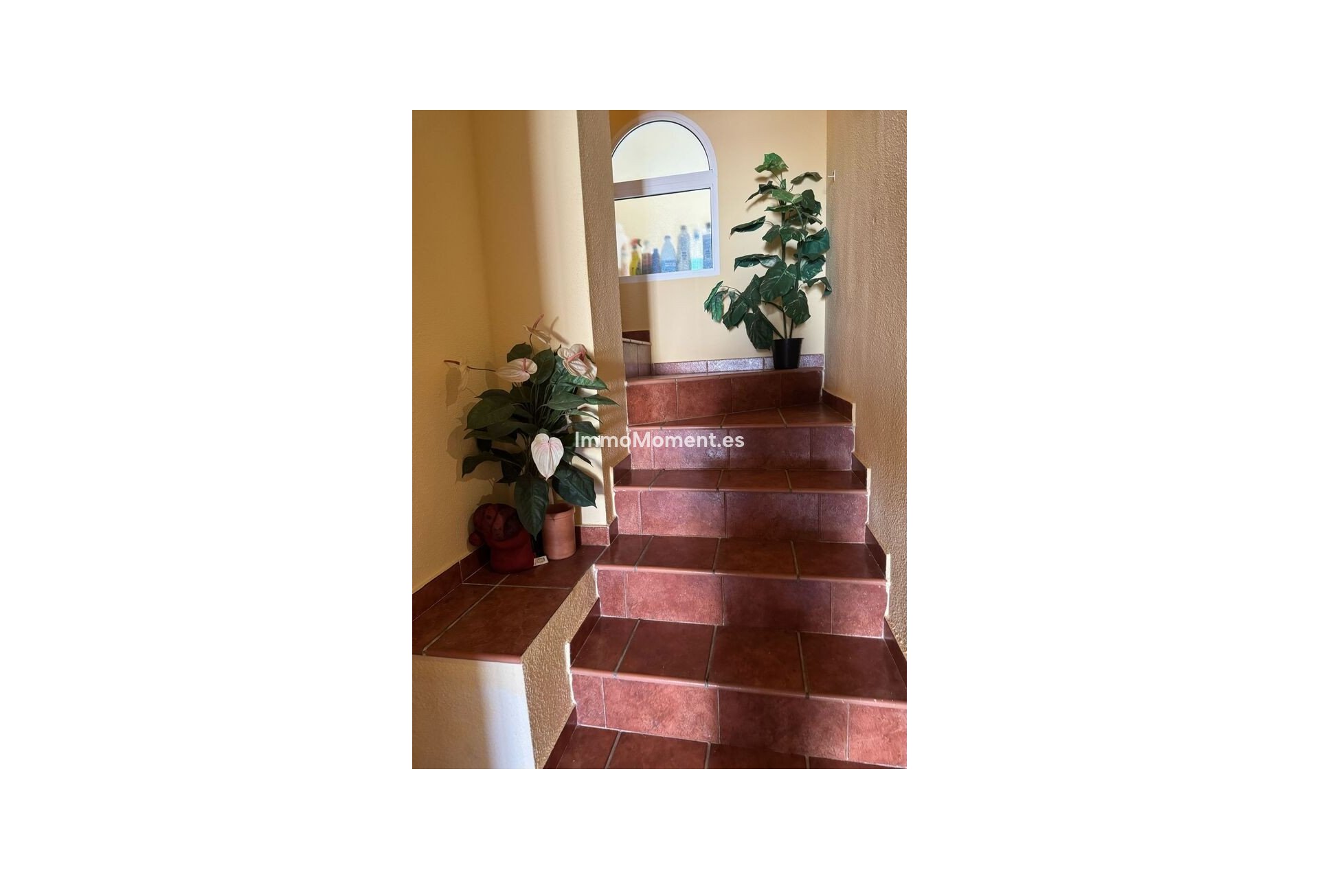 Reventa - Villa independiente - Orihuela - La Zenia