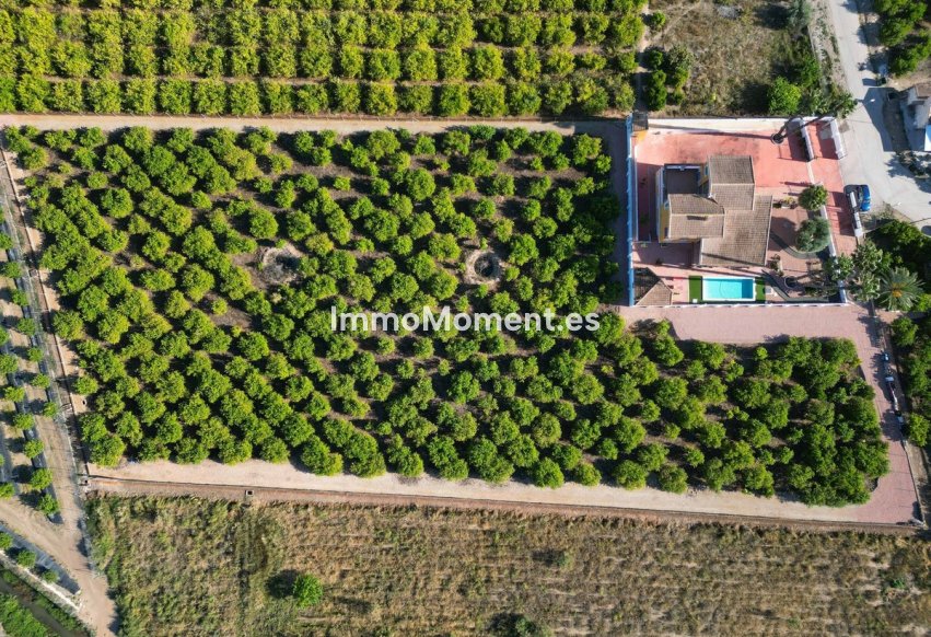 Reventa - Villa independiente - Orihuela - Orihuela Centro