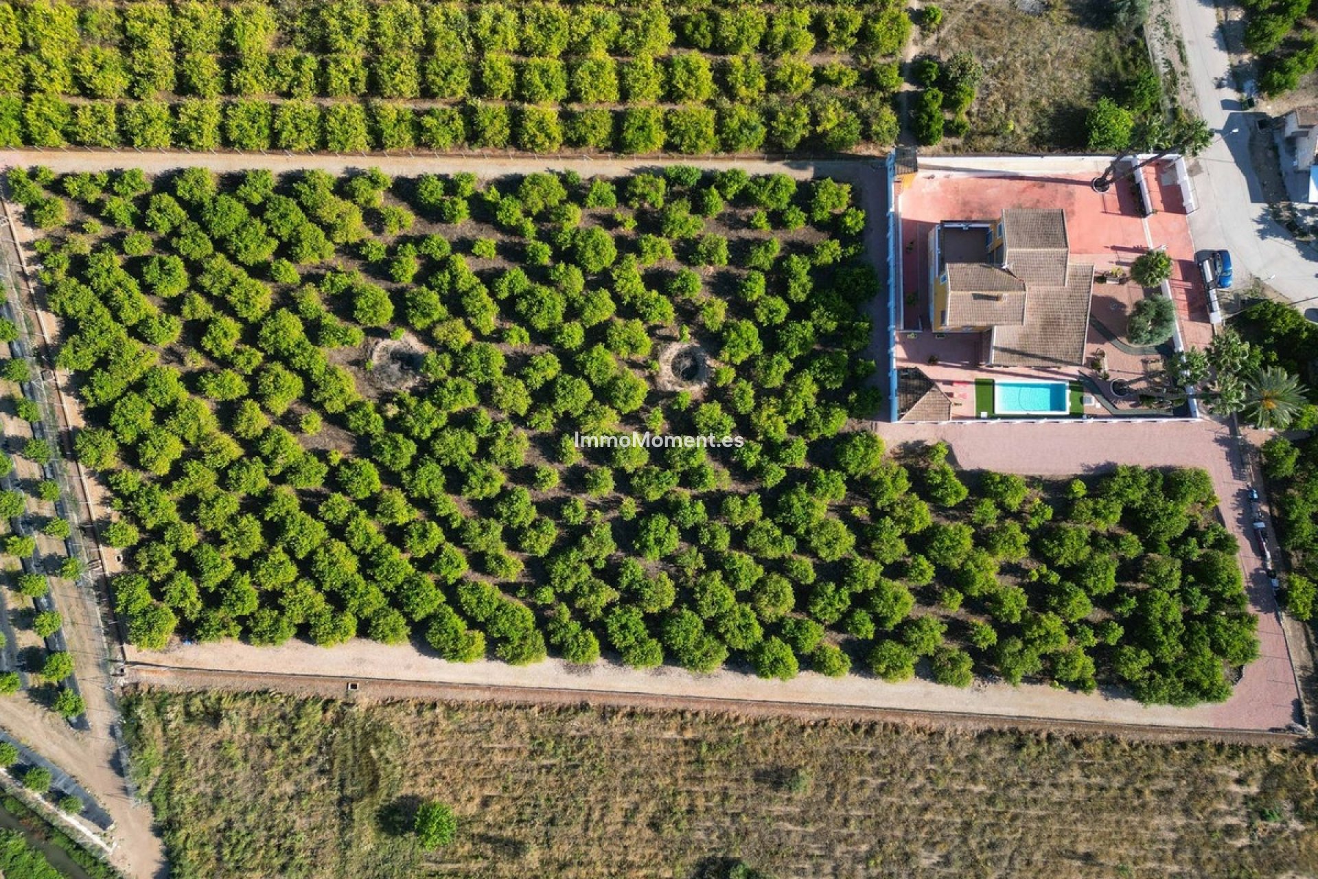 Reventa - Villa independiente - Orihuela - Orihuela Centro