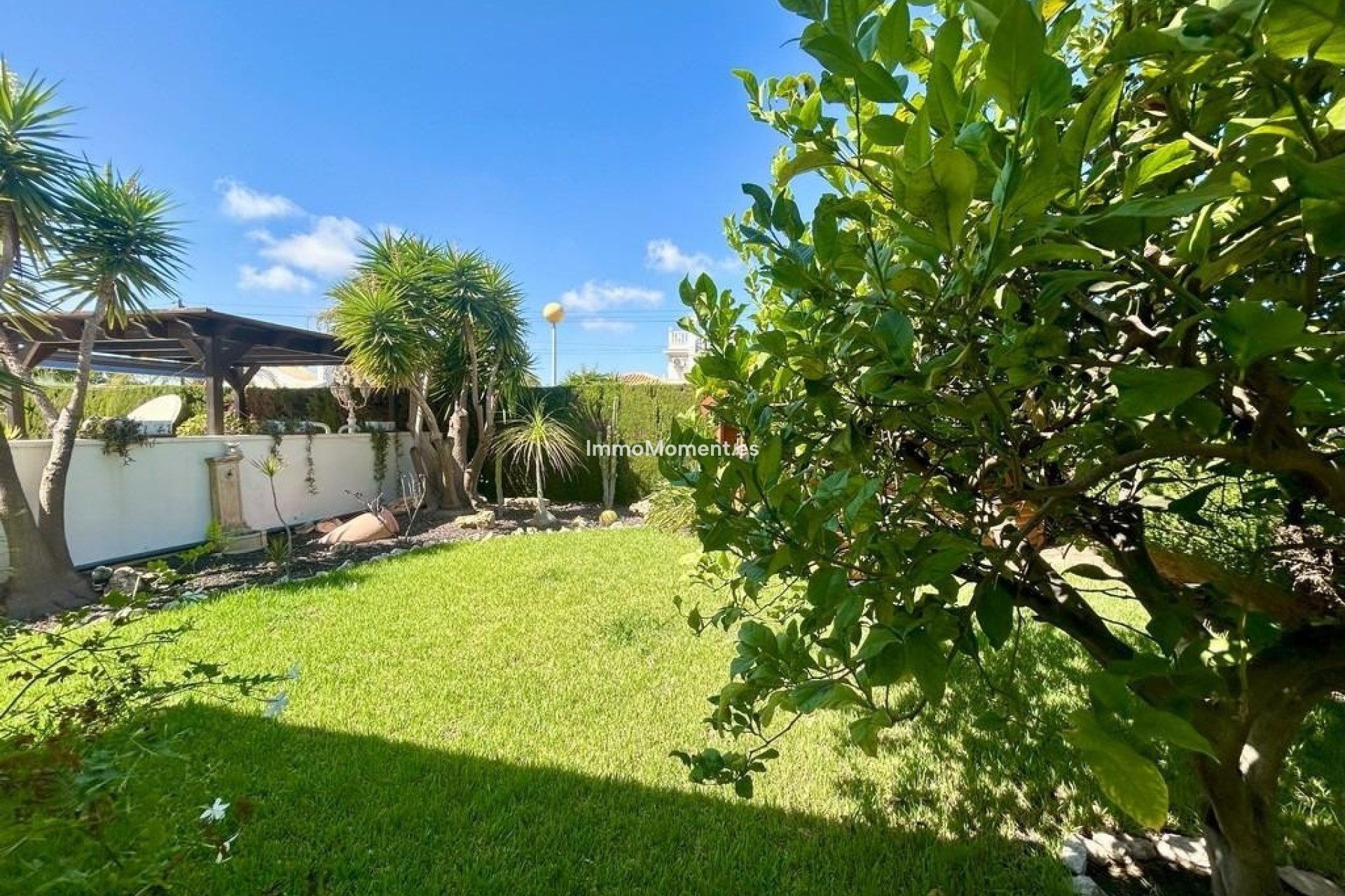 Reventa - Villa independiente - Orihuela - Orihuela Costa