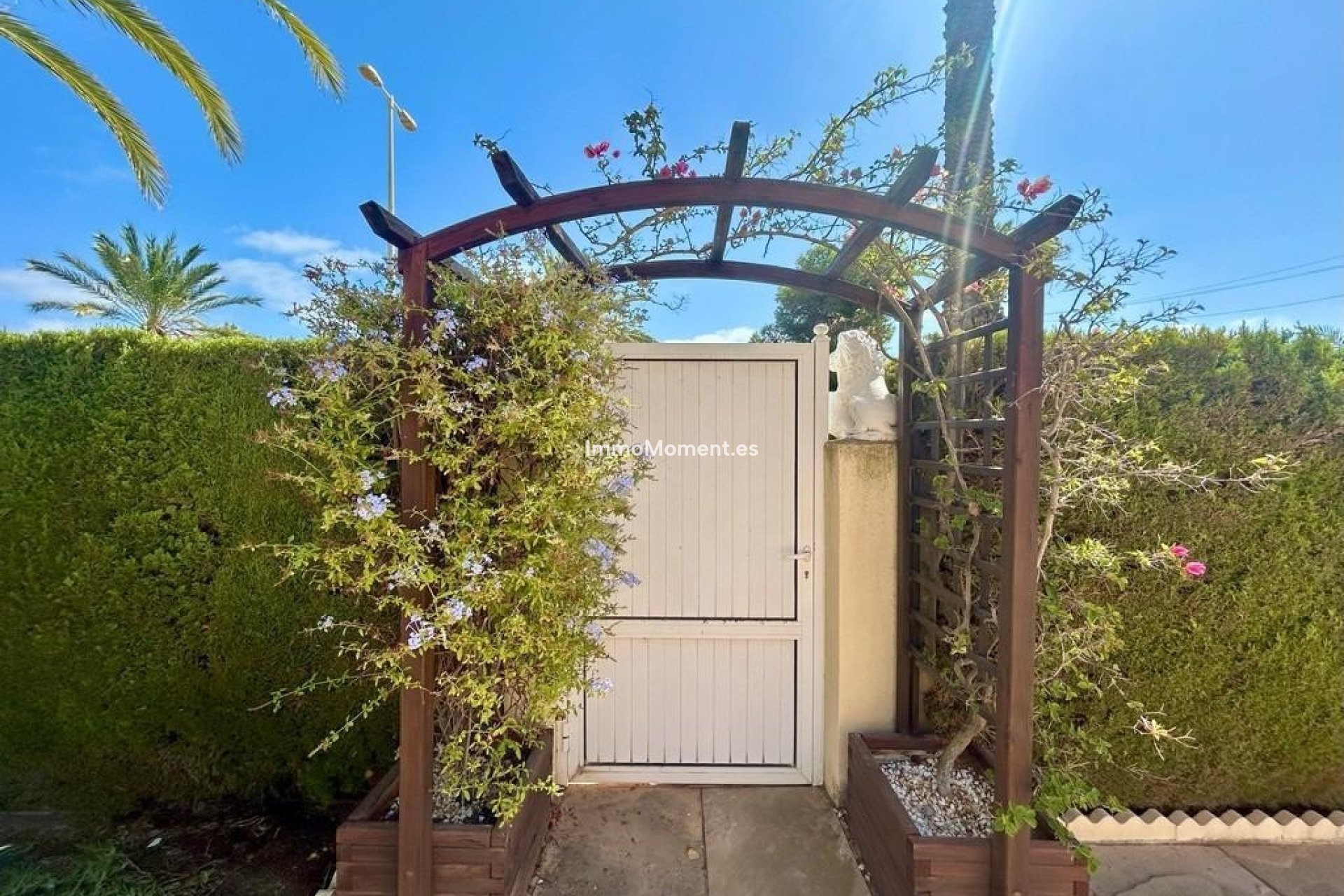 Reventa - Villa independiente - Orihuela - Orihuela Costa