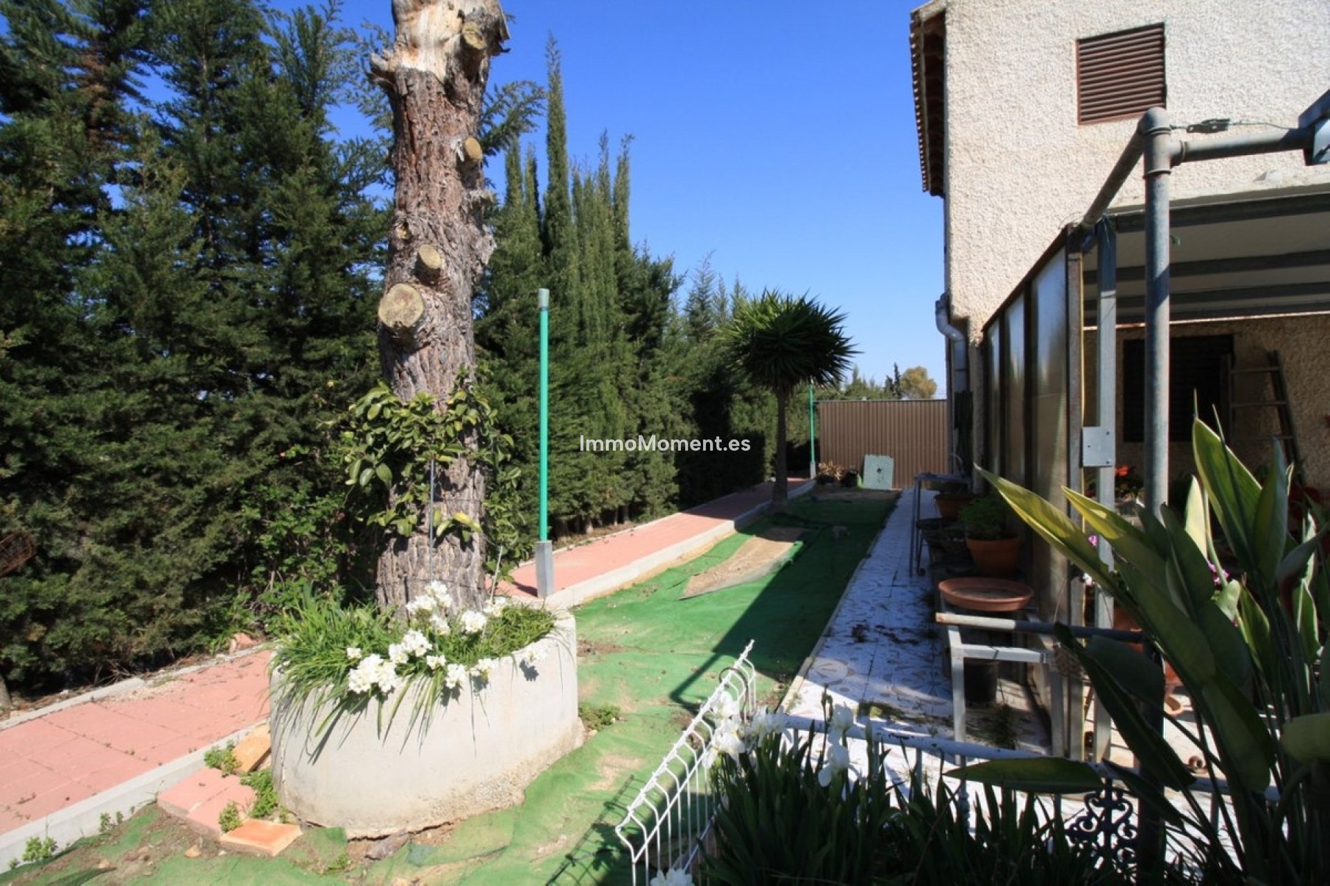 Reventa - Villa independiente - Orihuela - Orihuela Costa