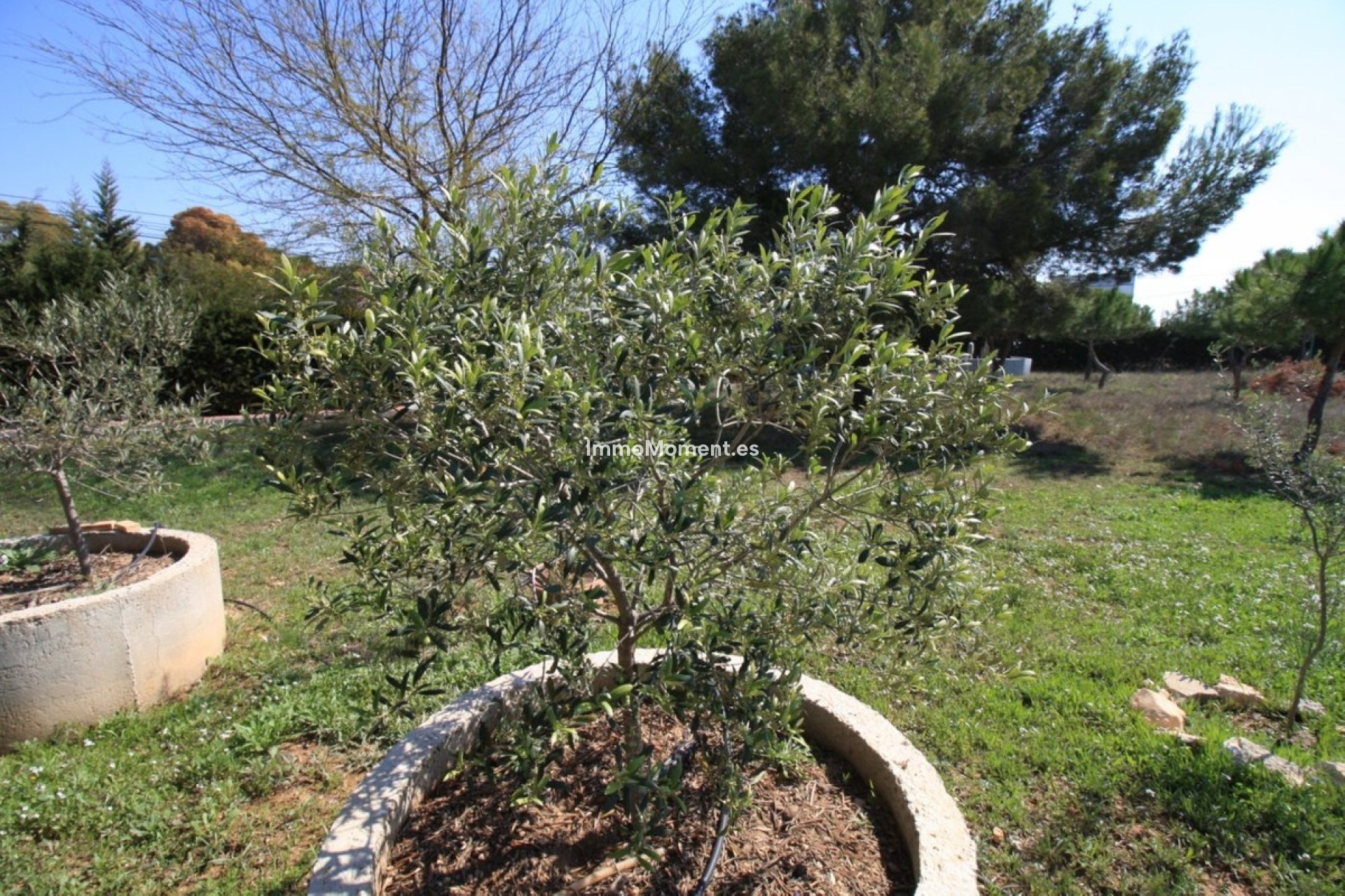 Reventa - Villa independiente - Orihuela - Orihuela Costa