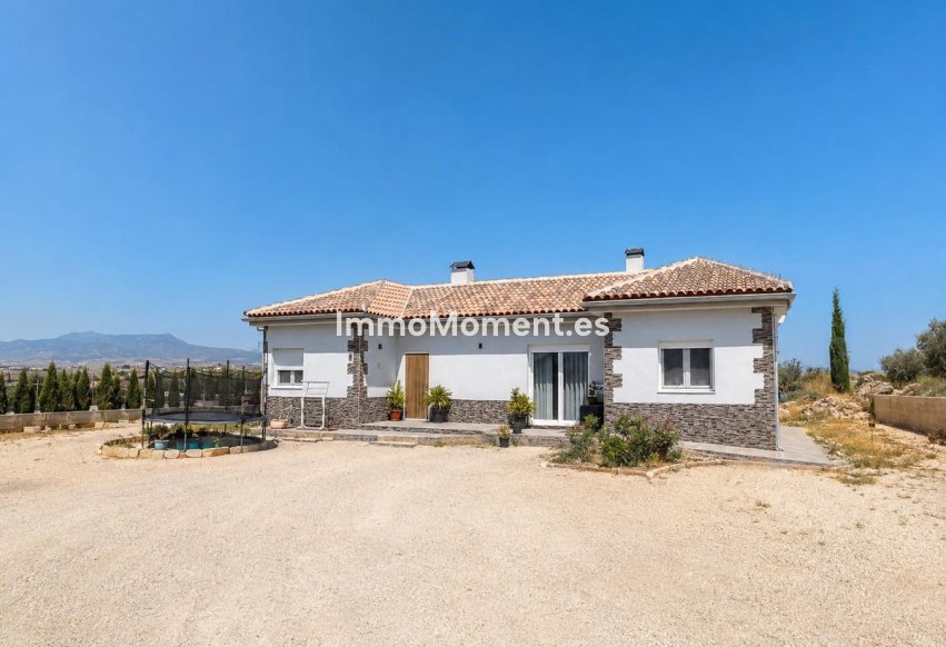 Reventa - Villa independiente - Pinoso - Pinoso Centro