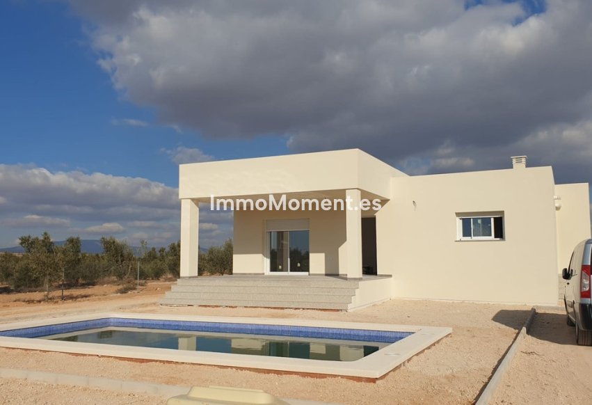 Reventa - Villa independiente - Pinoso - Pinoso Centro
