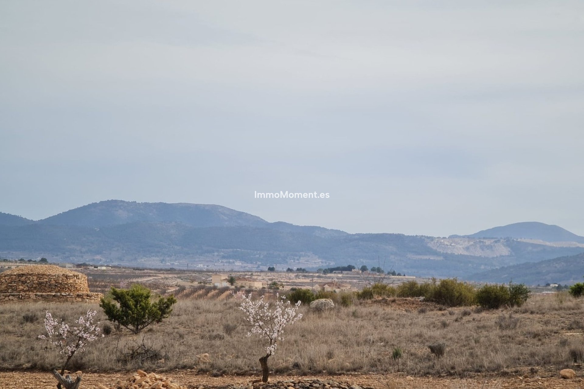 Reventa - Villa independiente - Pinoso - Pinoso Centro