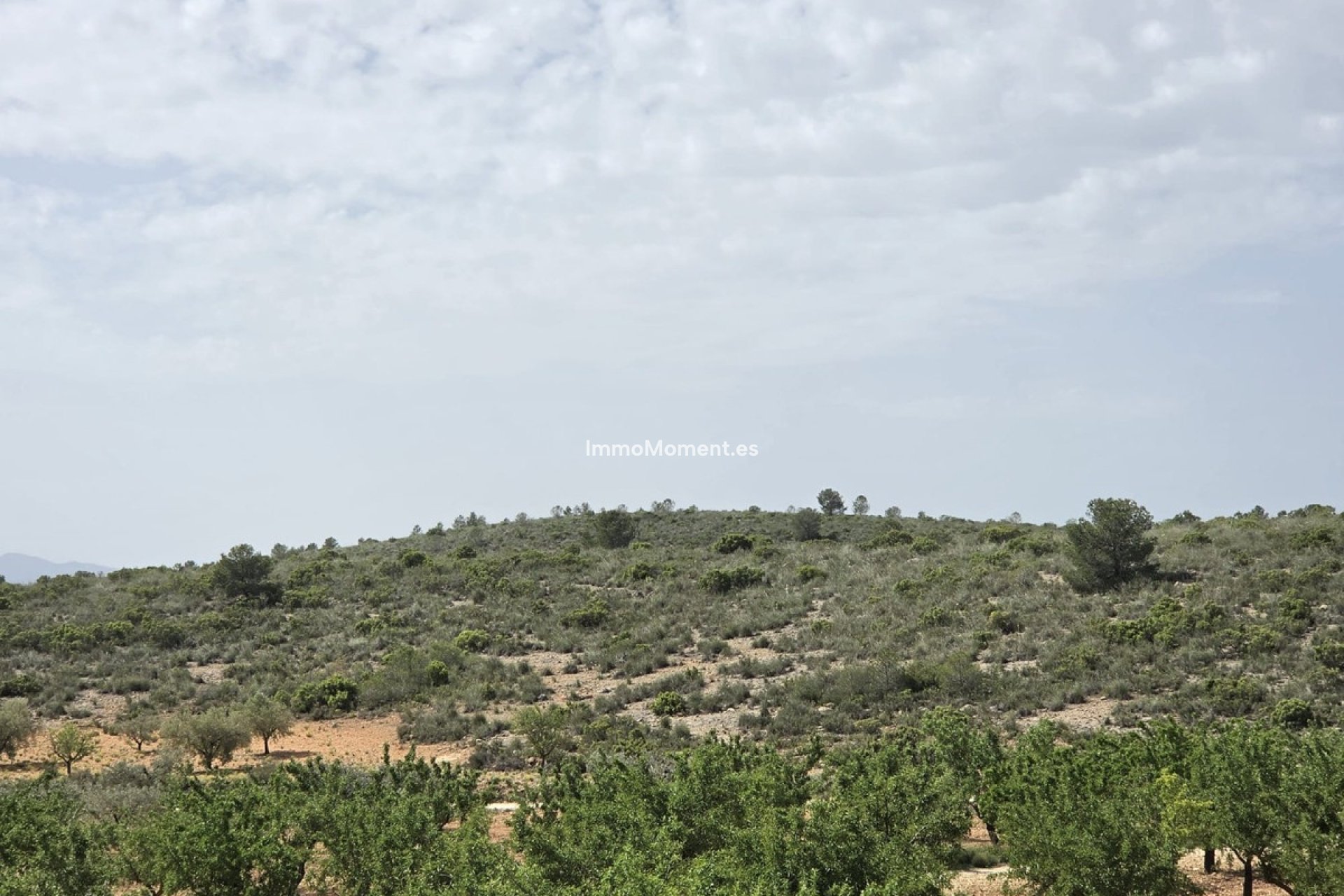 Reventa - Villa independiente - Pinoso - Pinoso Centro
