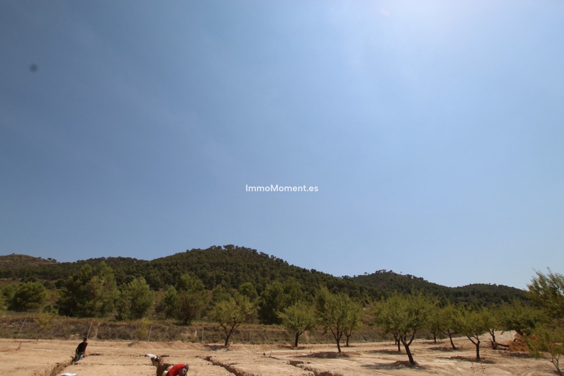 Reventa - Villa independiente - Pinoso - Pinoso Centro