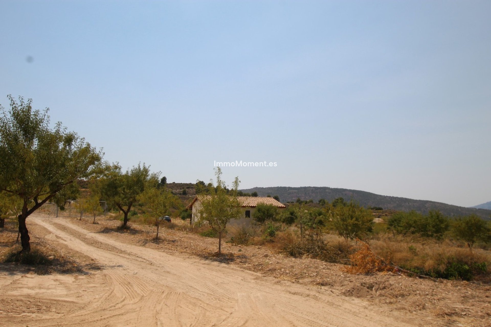 Reventa - Villa independiente - Pinoso - Pinoso Centro