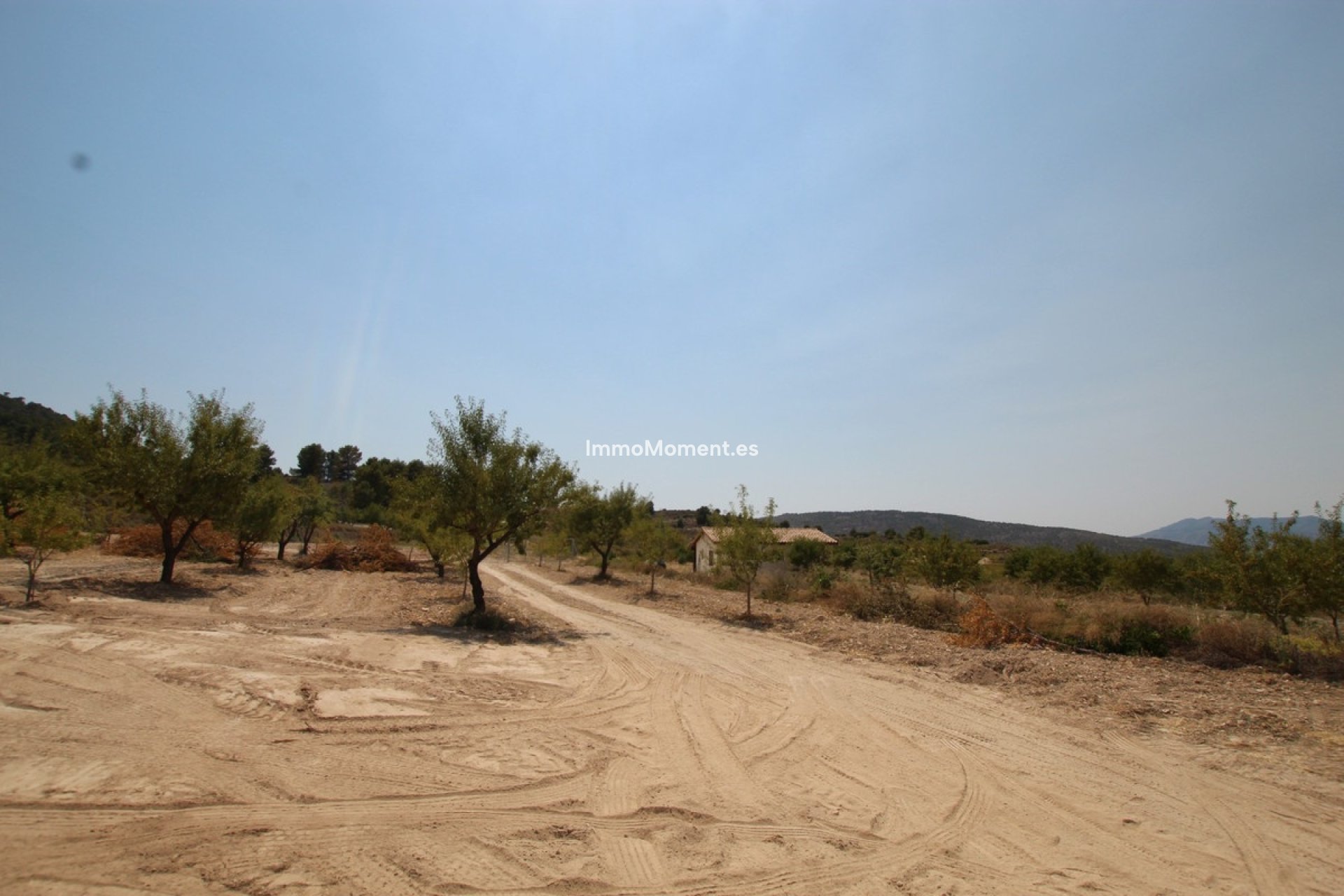 Reventa - Villa independiente - Pinoso - Pinoso Centro