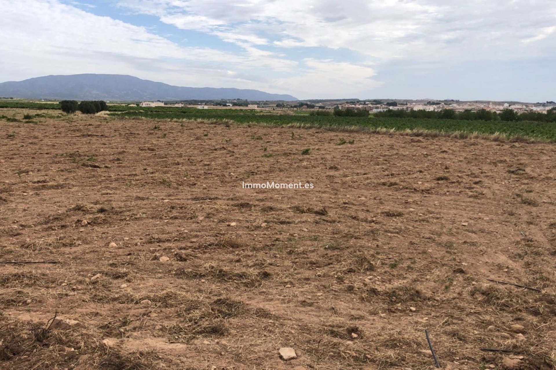 Reventa - Villa independiente - Pinoso - Pinoso Centro