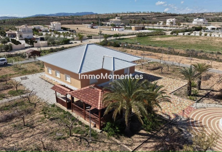 Reventa - Villa independiente - Pinoso - Pinoso Centro