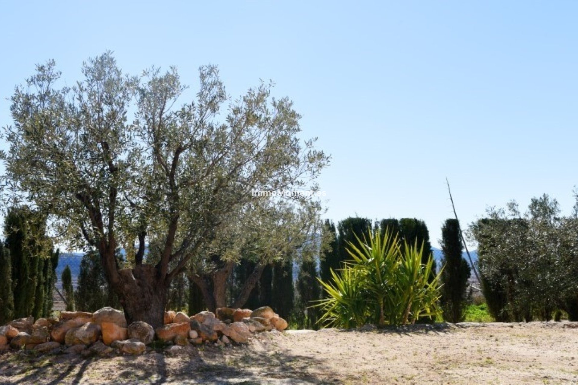 Reventa - Villa independiente - Pinoso - Pinoso Centro