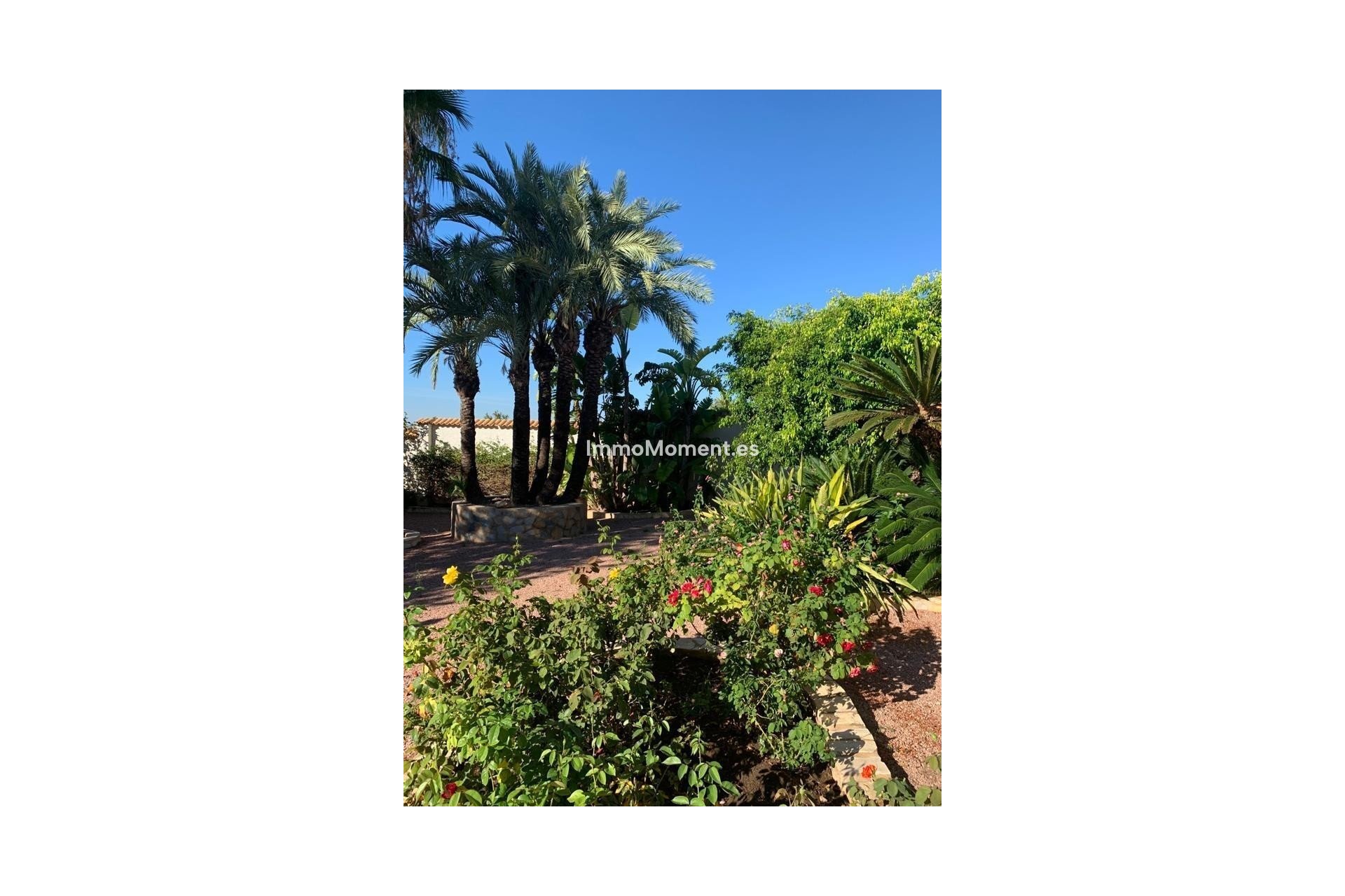Reventa - Villa independiente - Rojales - Ciudad Quesada