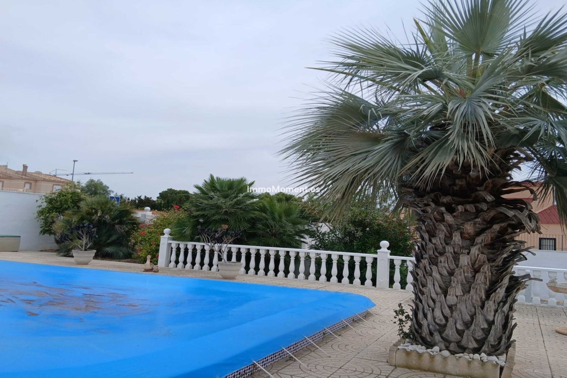 Reventa - Villa independiente - San Fulgencio - San Fulgencio Centro