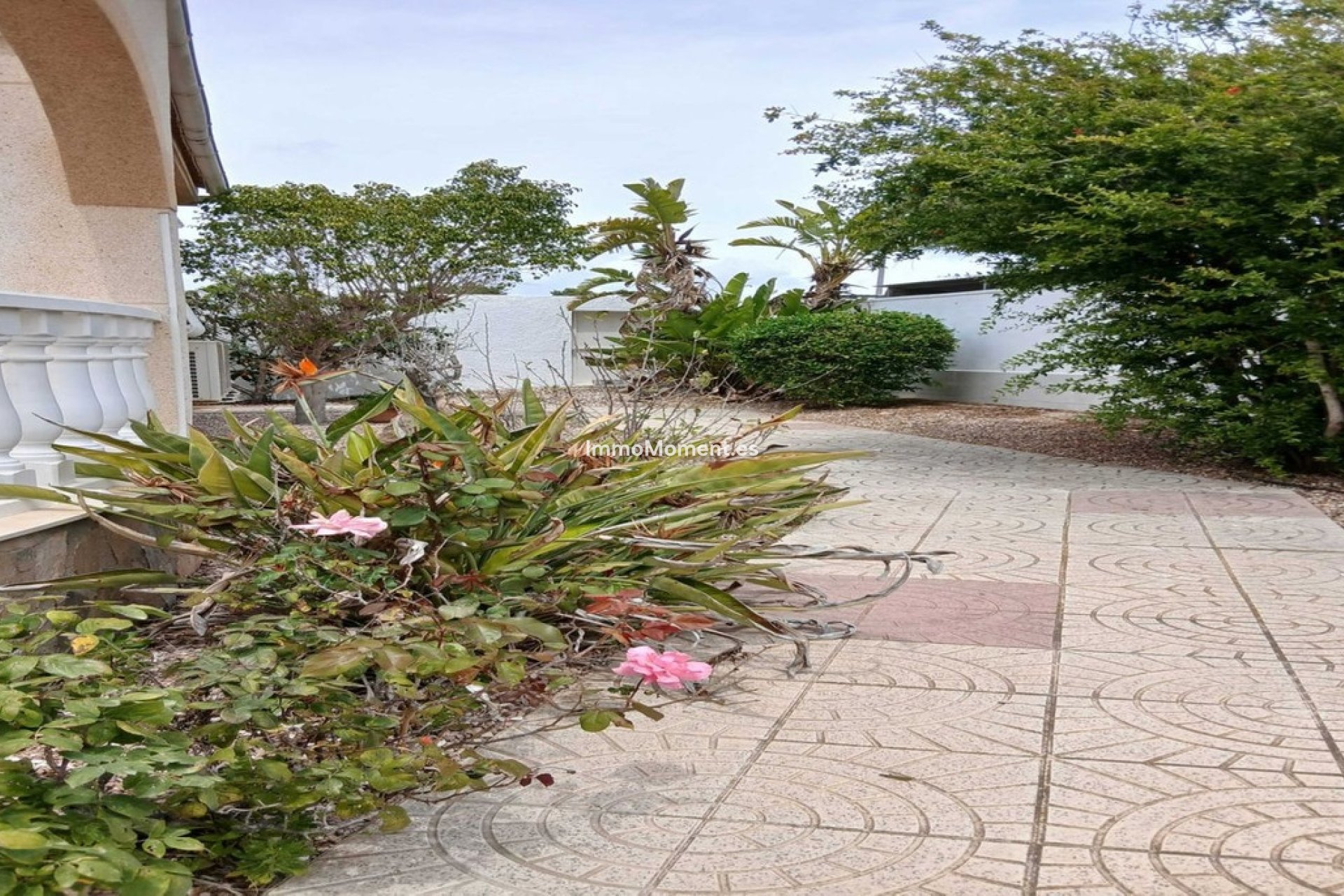 Reventa - Villa independiente - San Fulgencio - San Fulgencio Centro