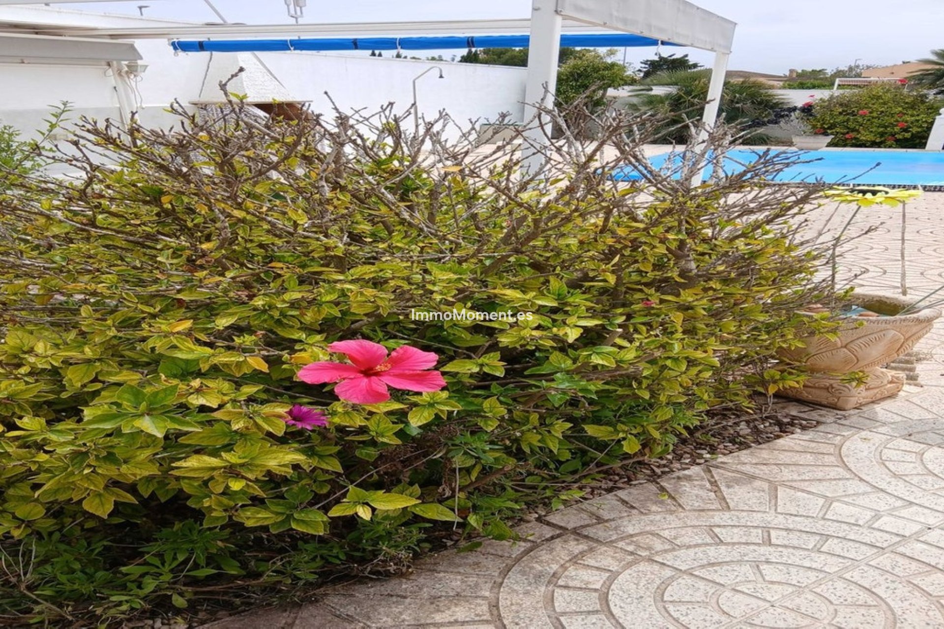 Reventa - Villa independiente - San Fulgencio - San Fulgencio Centro