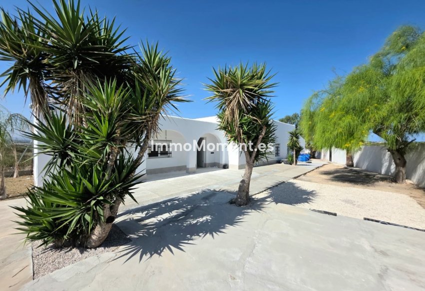 Reventa - Villa independiente - San Fulgencio - San Fulgencio Centro