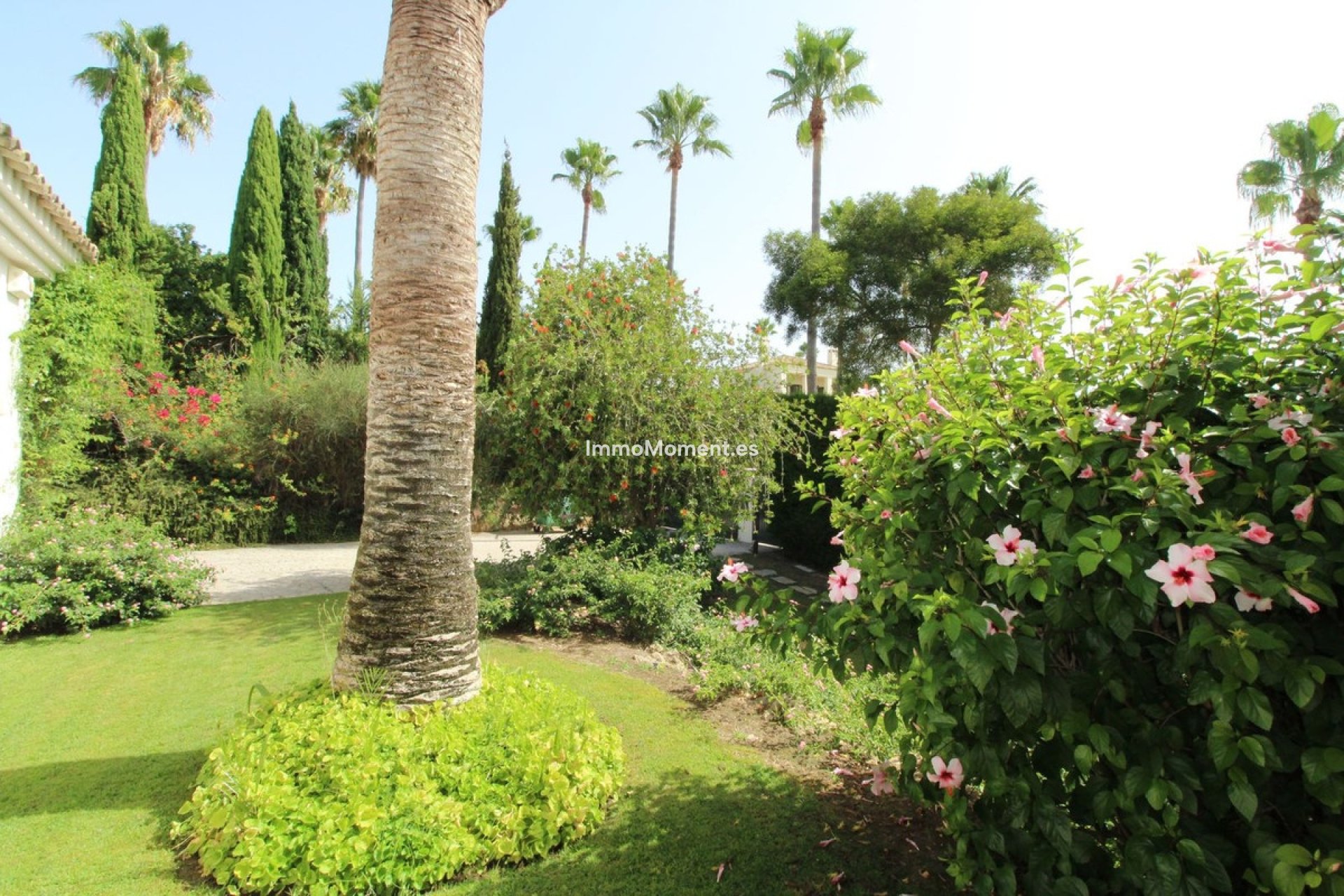 Reventa - Villa independiente - Sotogrande - Sotogrande Alto