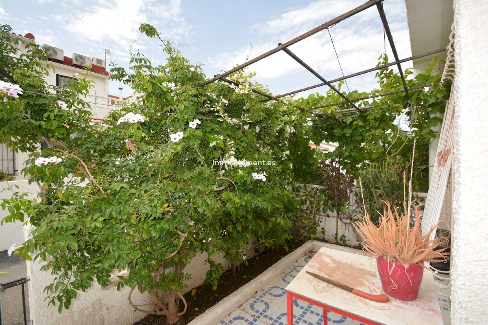 Reventa - Villa independiente - Torrevieja - Torrevieja Centro