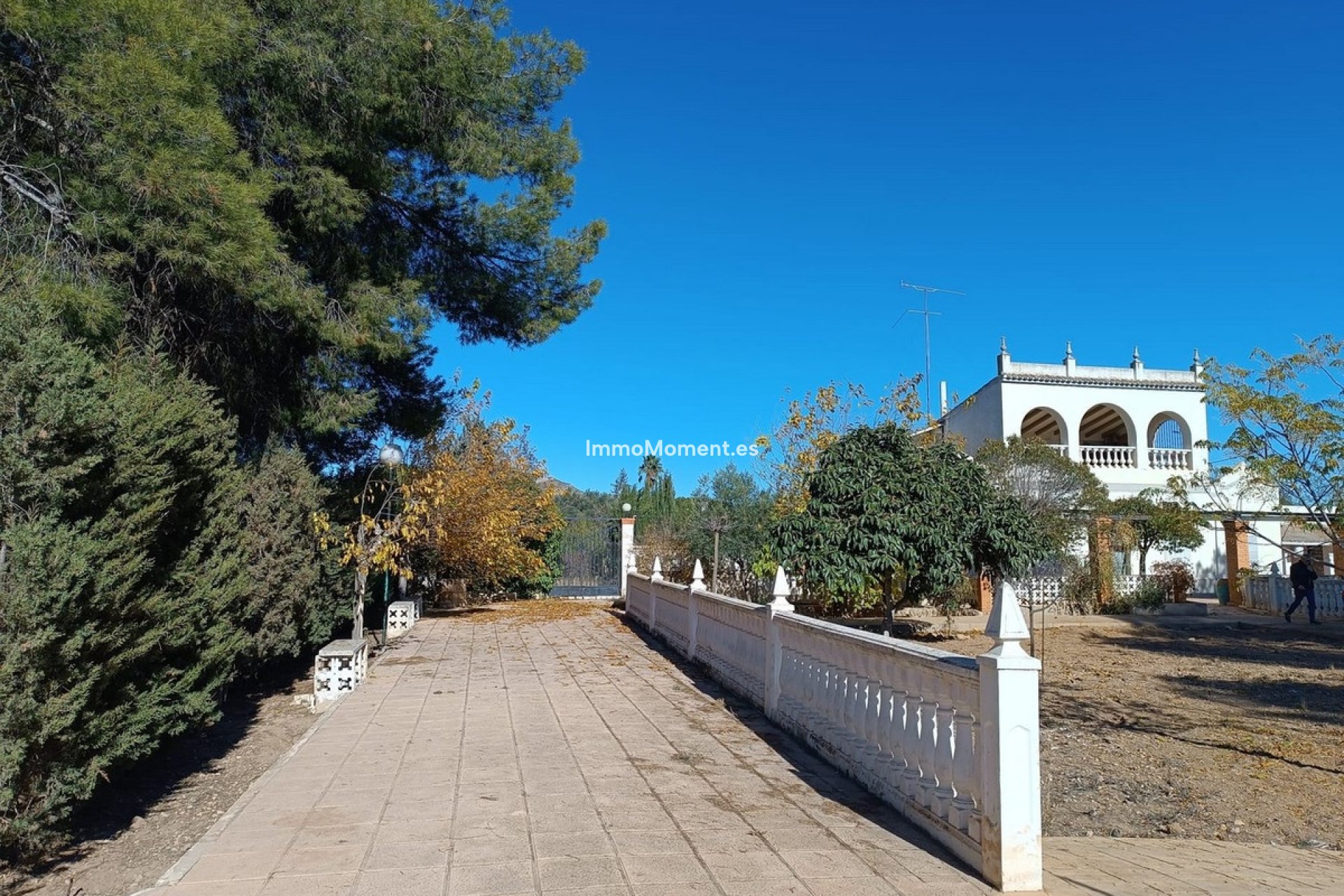 Reventa - Villa independiente - Yecla - Yecla Centro