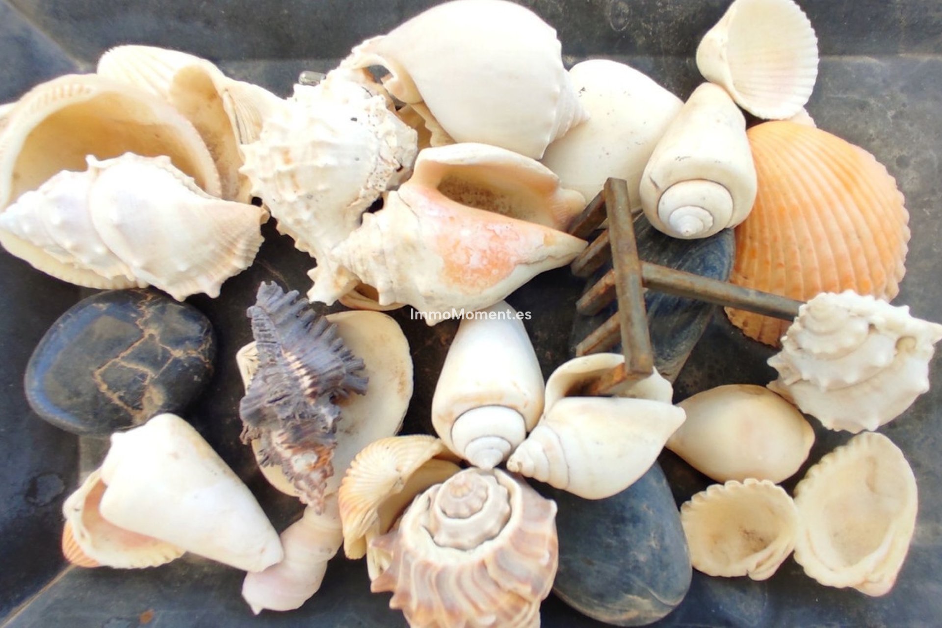 Reventa - Villa - Interior  - Coín