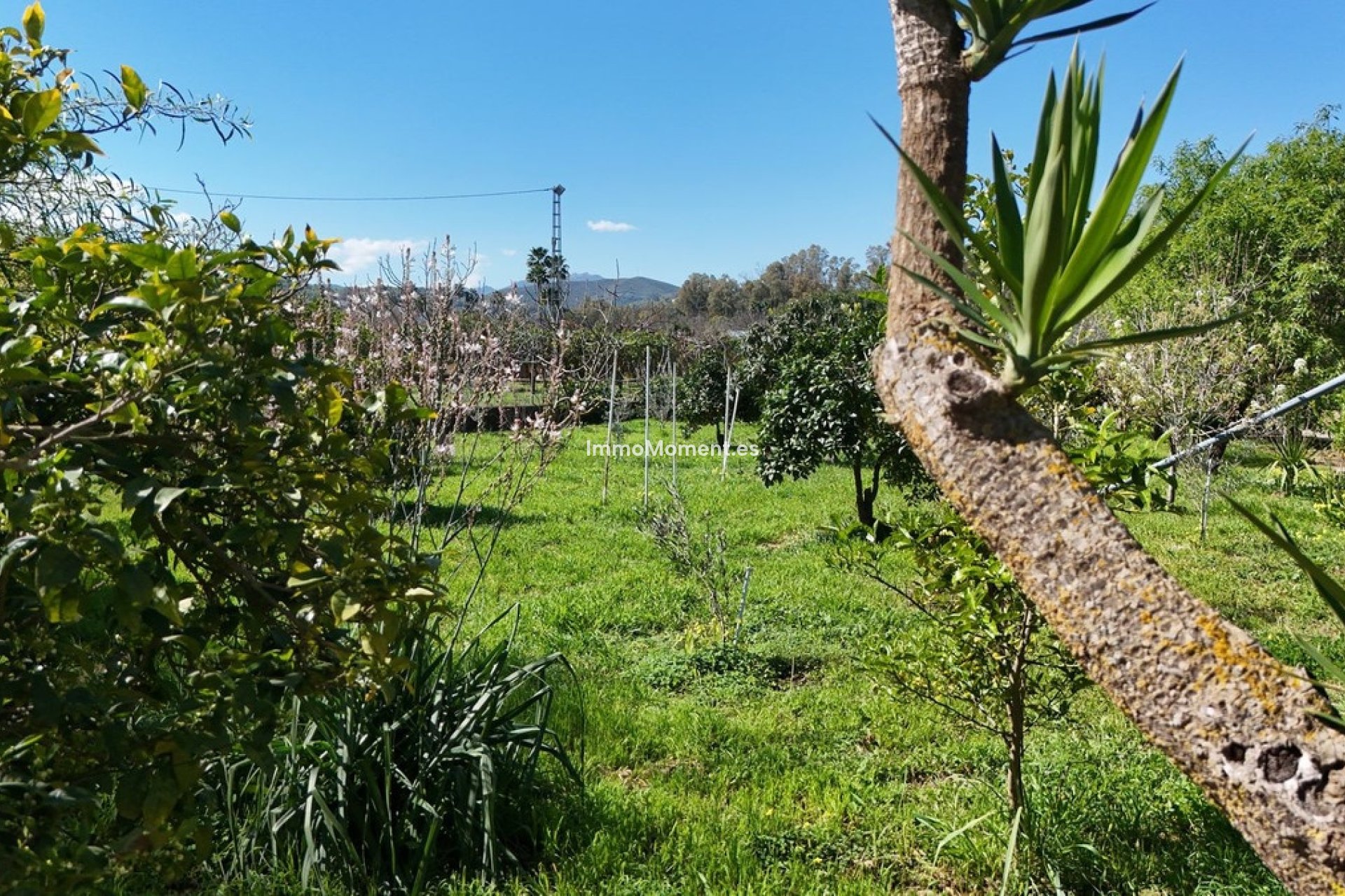 Reventa - Villa - Interior  - Coín
