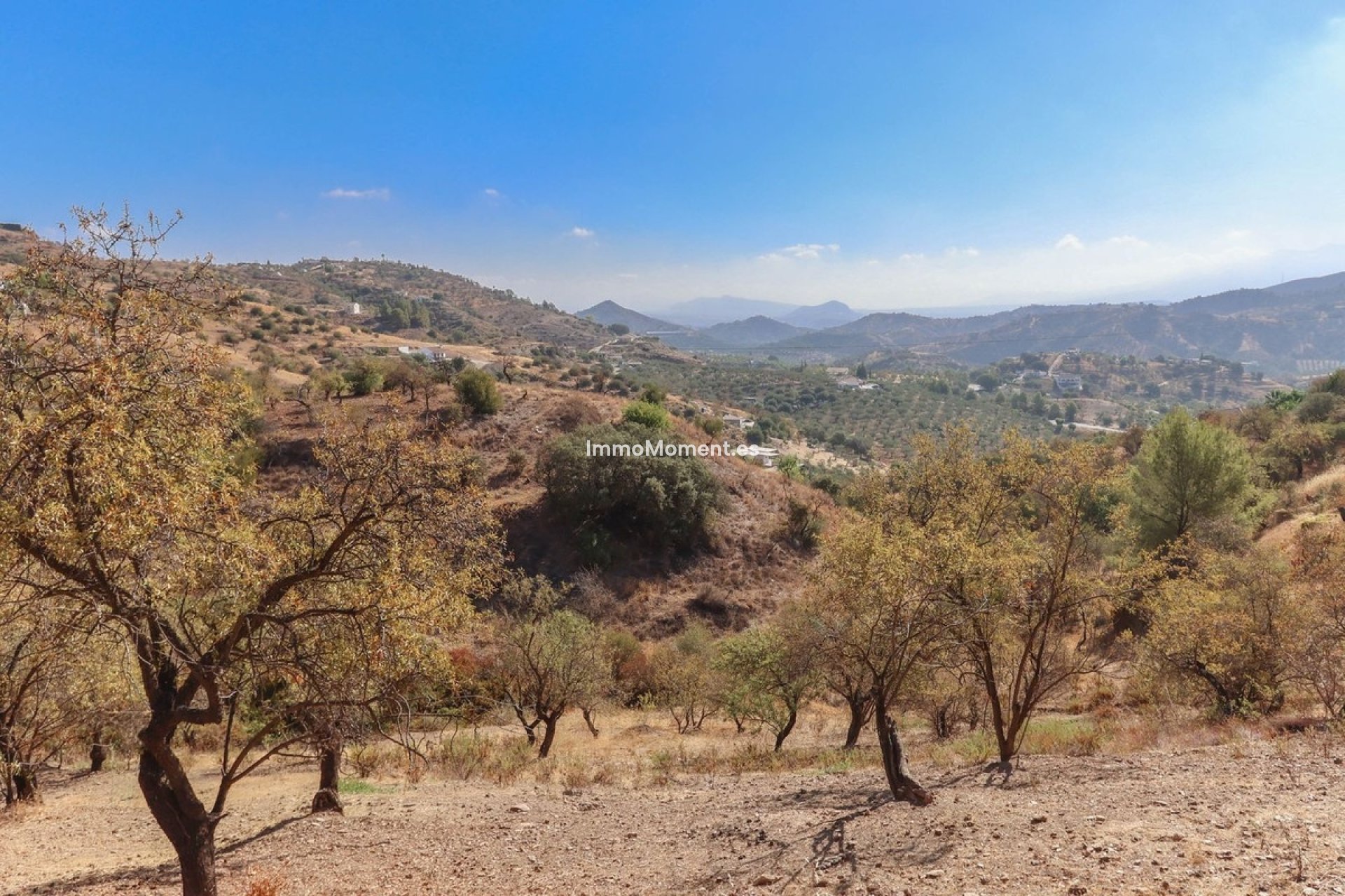 Reventa - Villa - Interior  - Guaro