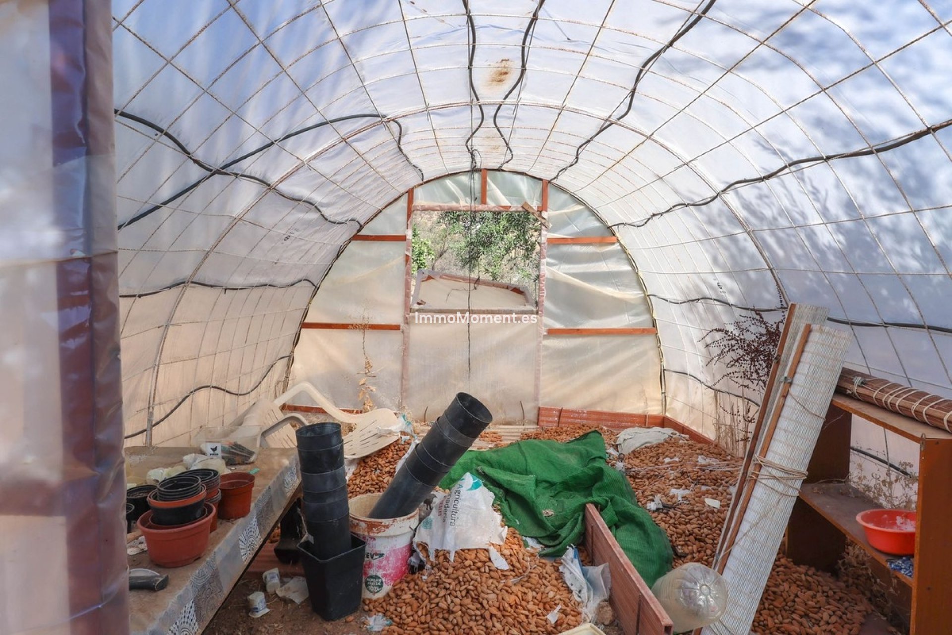 Reventa - Villa - Interior  - Guaro