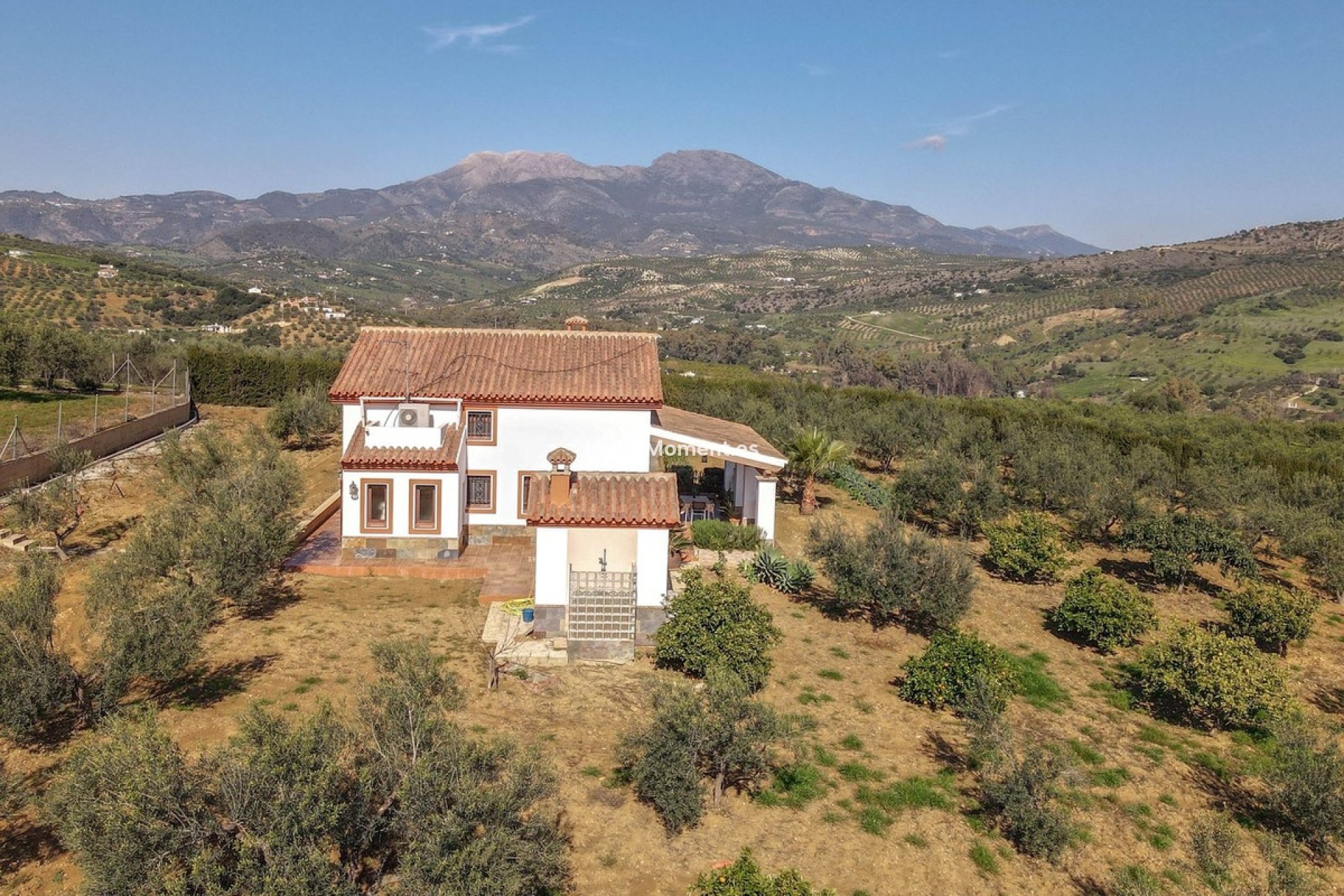 Reventa - Villa - Interior  - Guaro