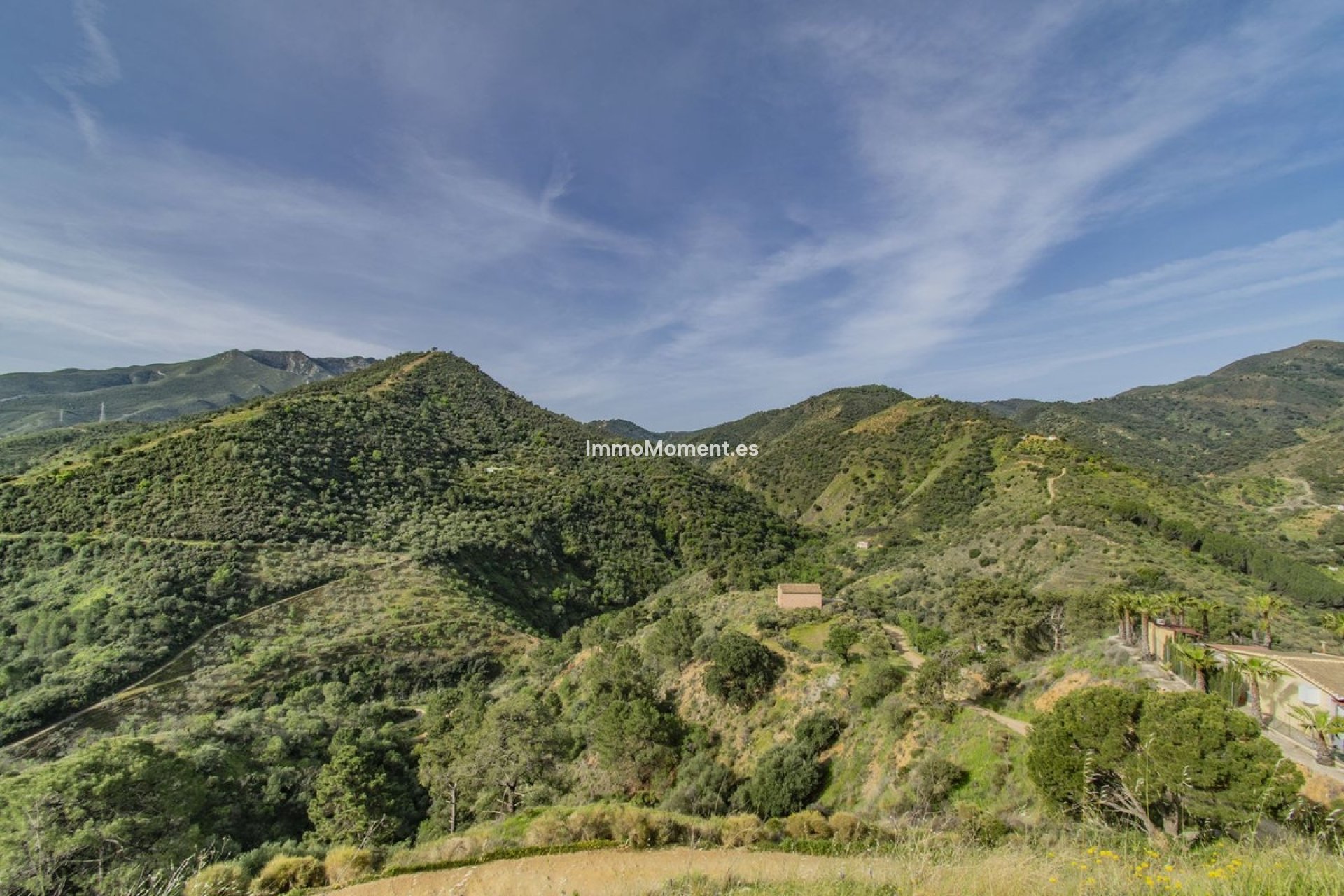 Reventa - Villa - Interior  - Monda