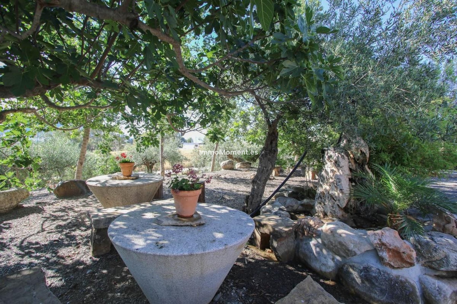 Reventa - Villa - Interior  - Pizarra