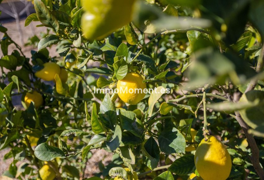 Reventa - Villa - Murcia - Corvera