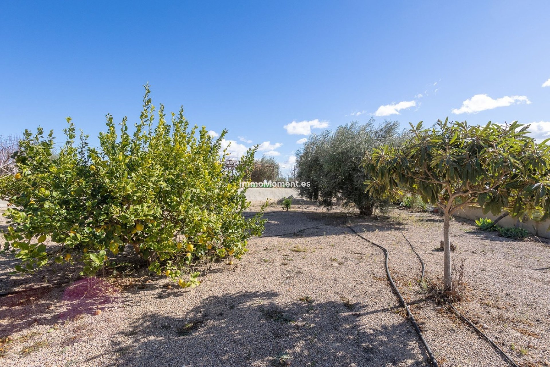 Reventa - Villa - Murcia - Corvera