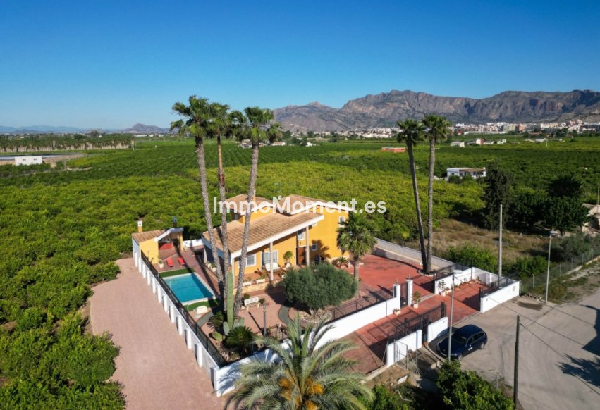 Reventa - Villa - Orihuela - Orihuela Centro
