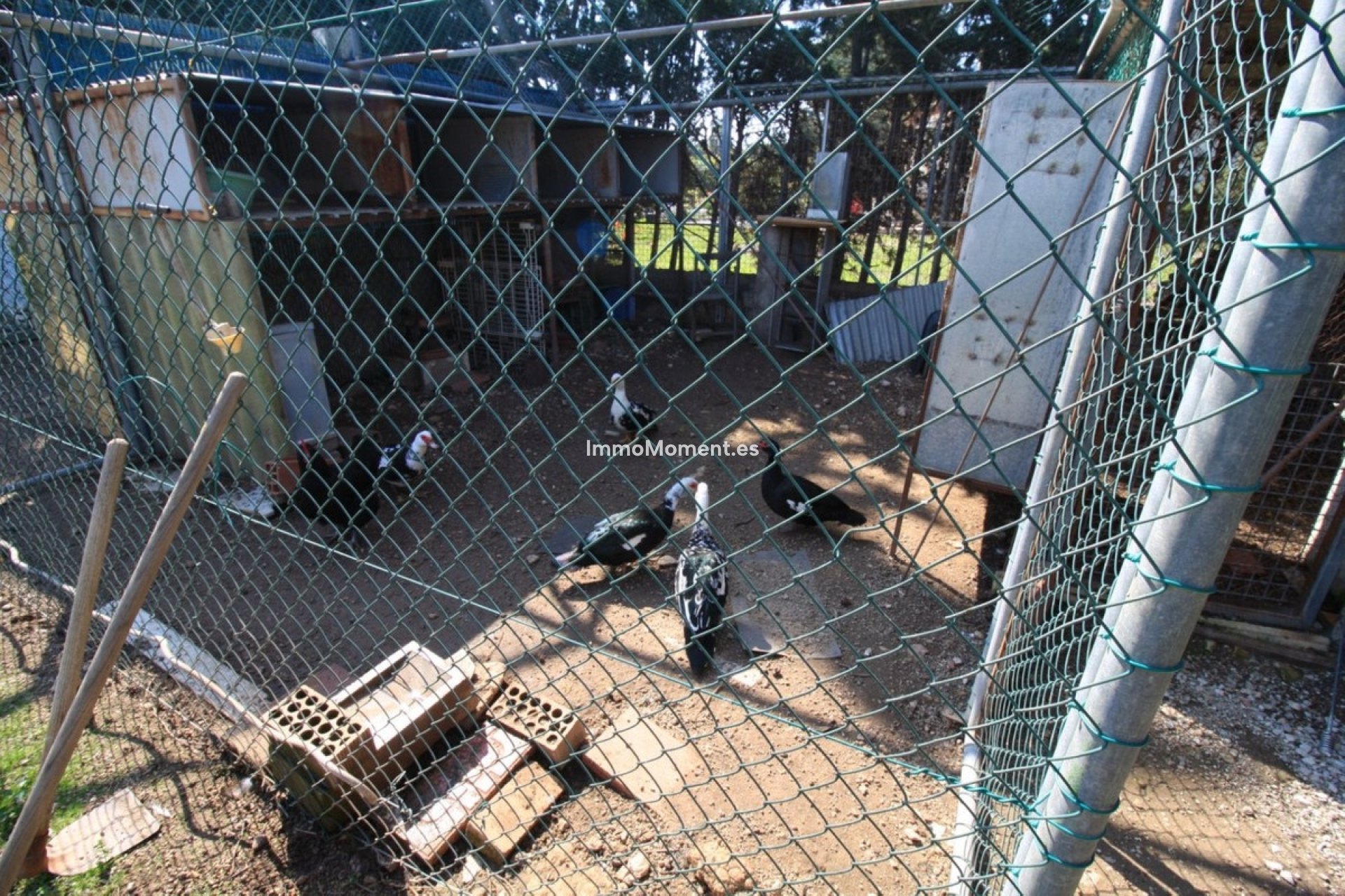 Reventa - Villa - Orihuela - Orihuela Costa