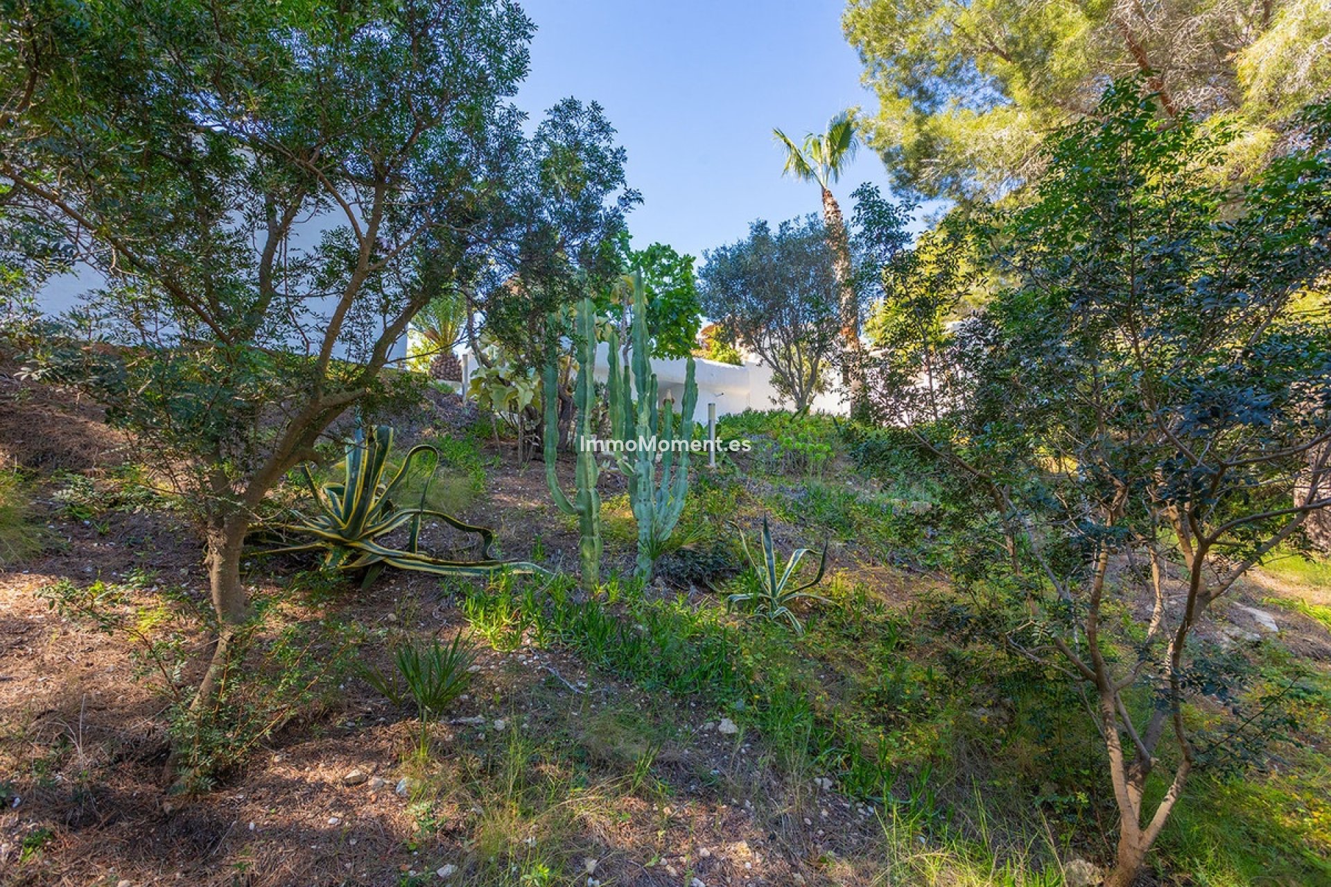 Reventa - Villa - Orihuela - Orihuela Costa