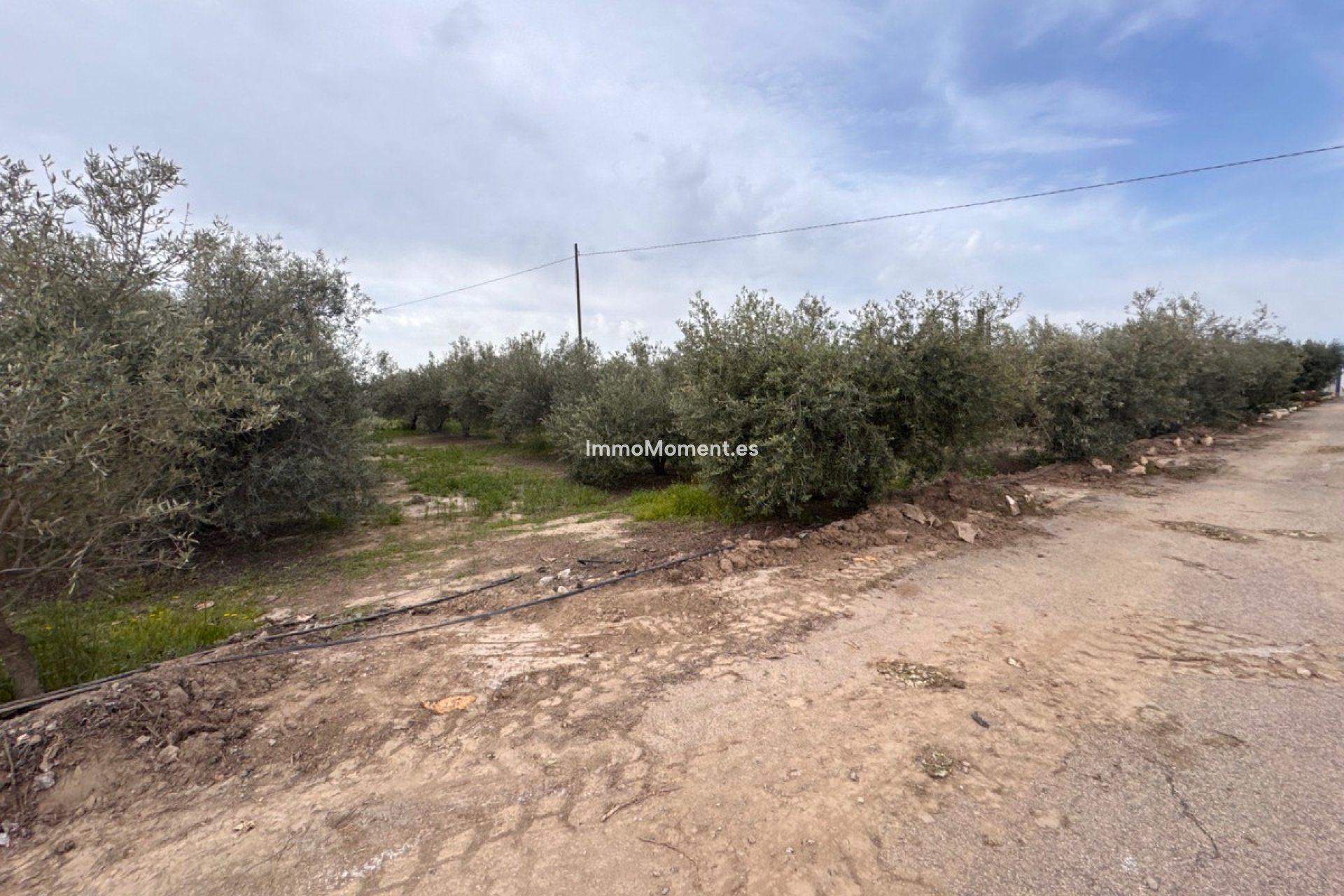 Reventa - Villa - Puerto Lumbreras - Esparragal de Puerto Lumbreras