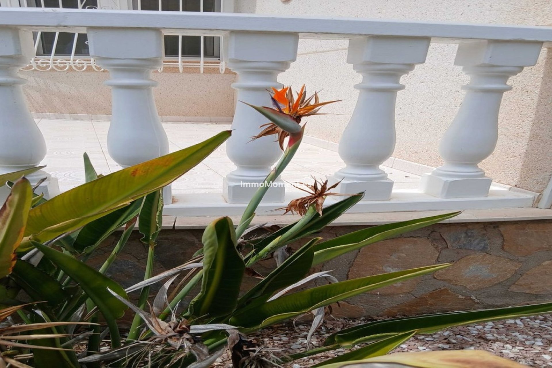 Reventa - Villa - San Fulgencio - San Fulgencio Centro