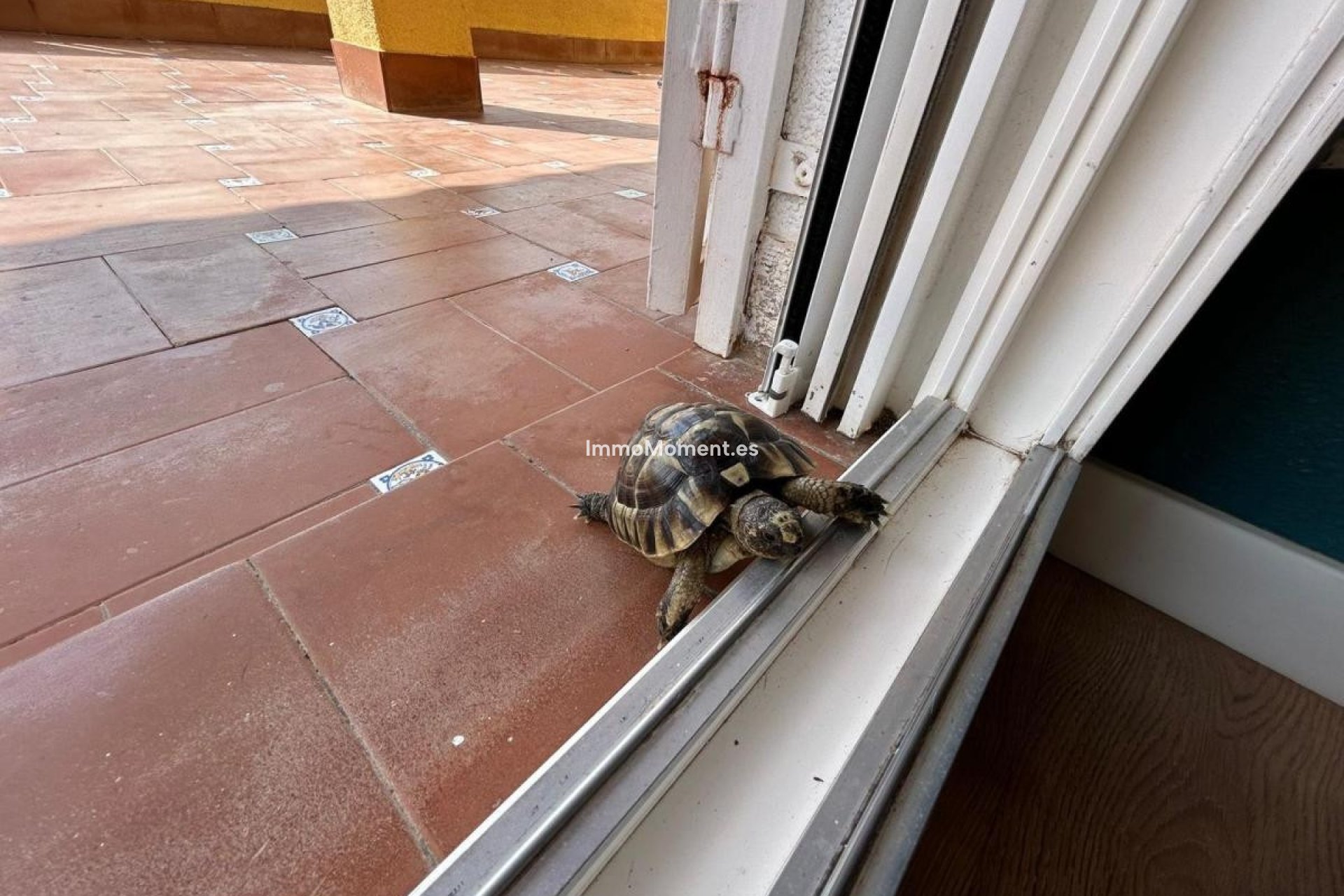 Reventa - Villa - San Miguel de Salinas - San Miguel de Salinas Centro