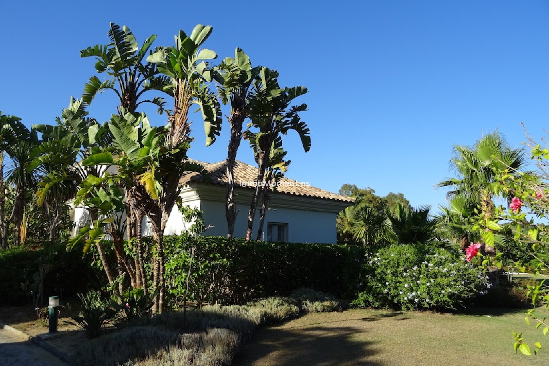 Reventa - Villa - Sotogrande - Sotogrande Alto