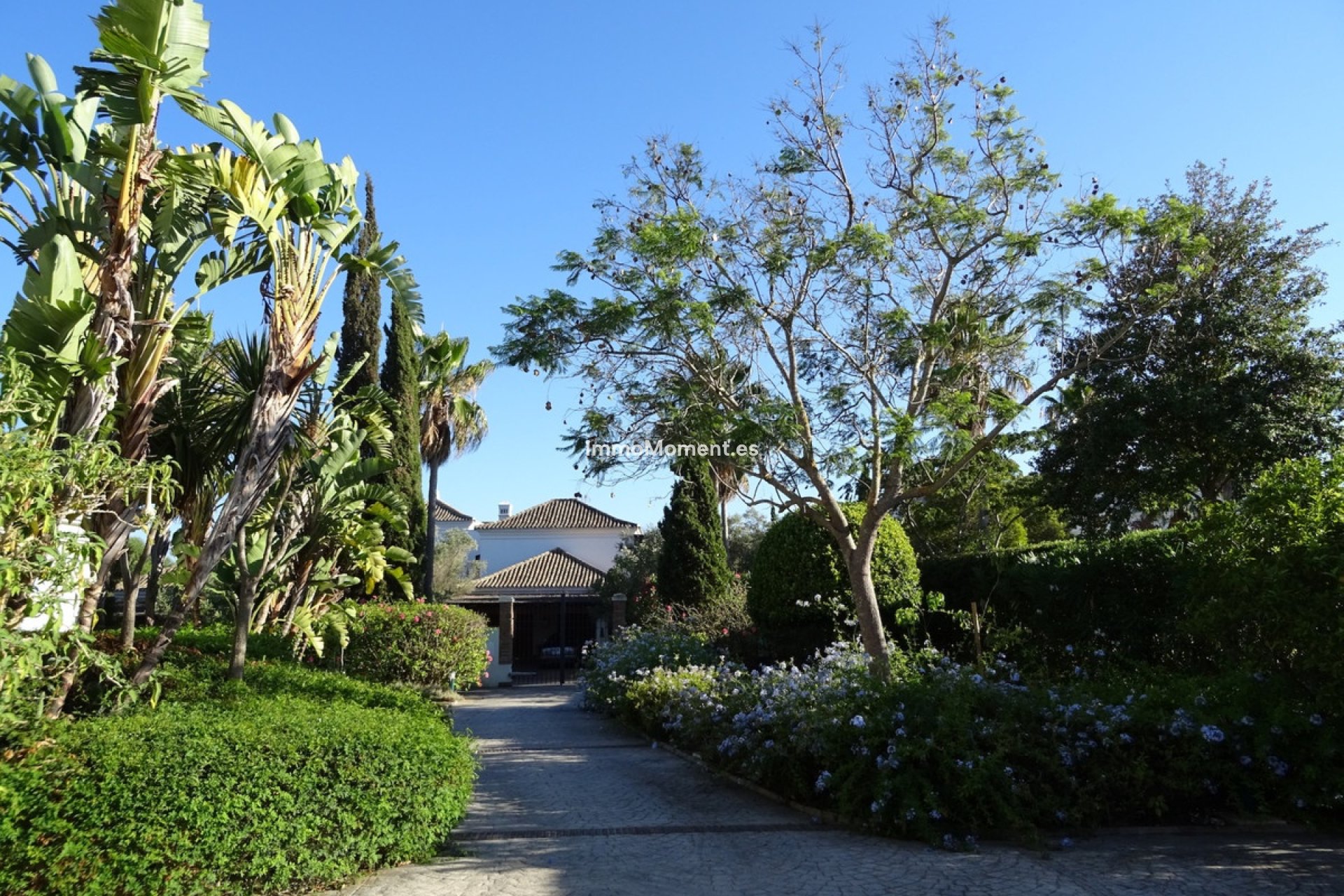 Reventa - Villa - Sotogrande - Sotogrande Alto