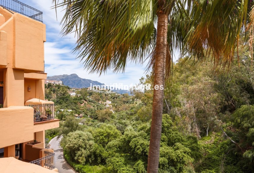 Revente - Appartement - Benahavís - Benahavís Centro